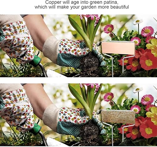 Miniatura 7 de 25 etiquetas de metal de cobre para plantas con 50 etiquetas, película de PET impermeable y bolígrafo permanente, 6.1 pulgadas resistente a la