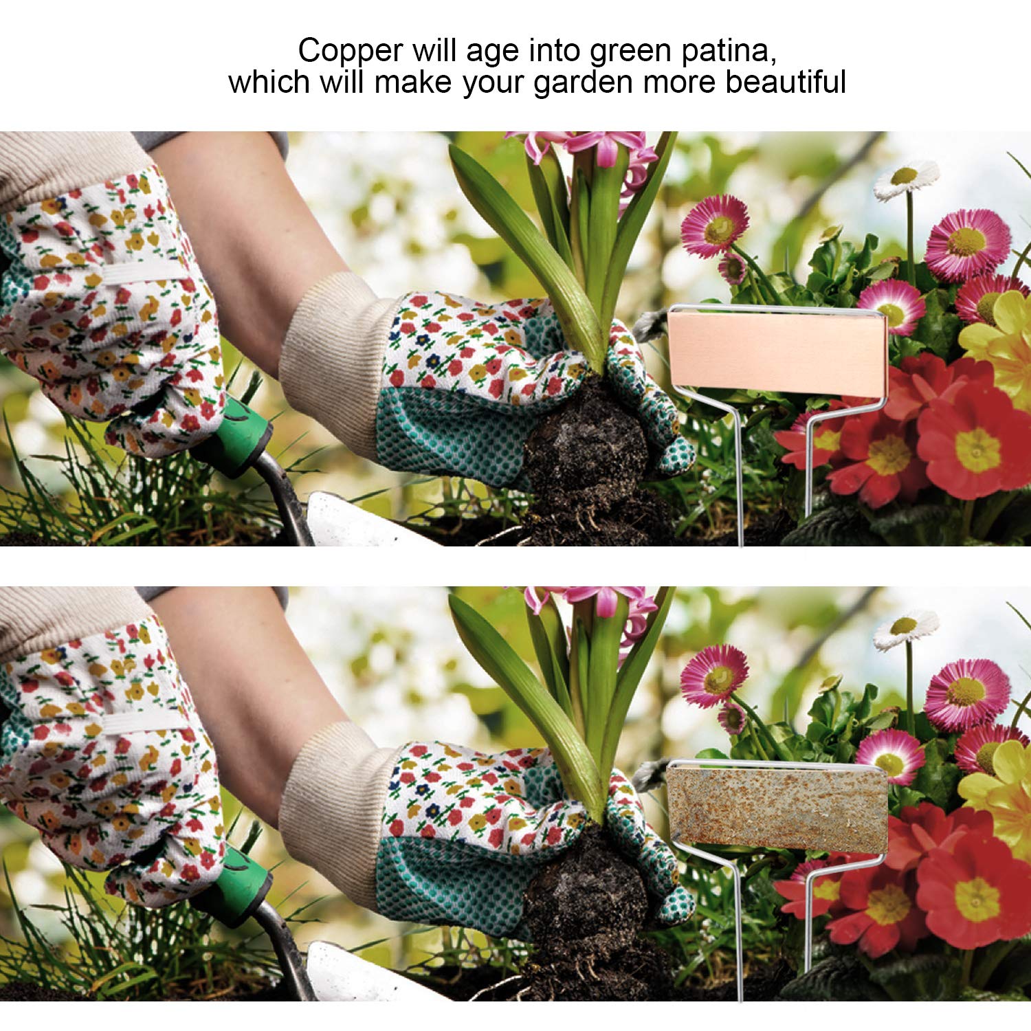 Lot de 25 étiquettes de plantes en cuivre avec 50 étiquettes, film PET imperméable et stylo permanent, bannière résistante aux intempéries de 15,5 cm, marqueurs de jardin, panneaux de