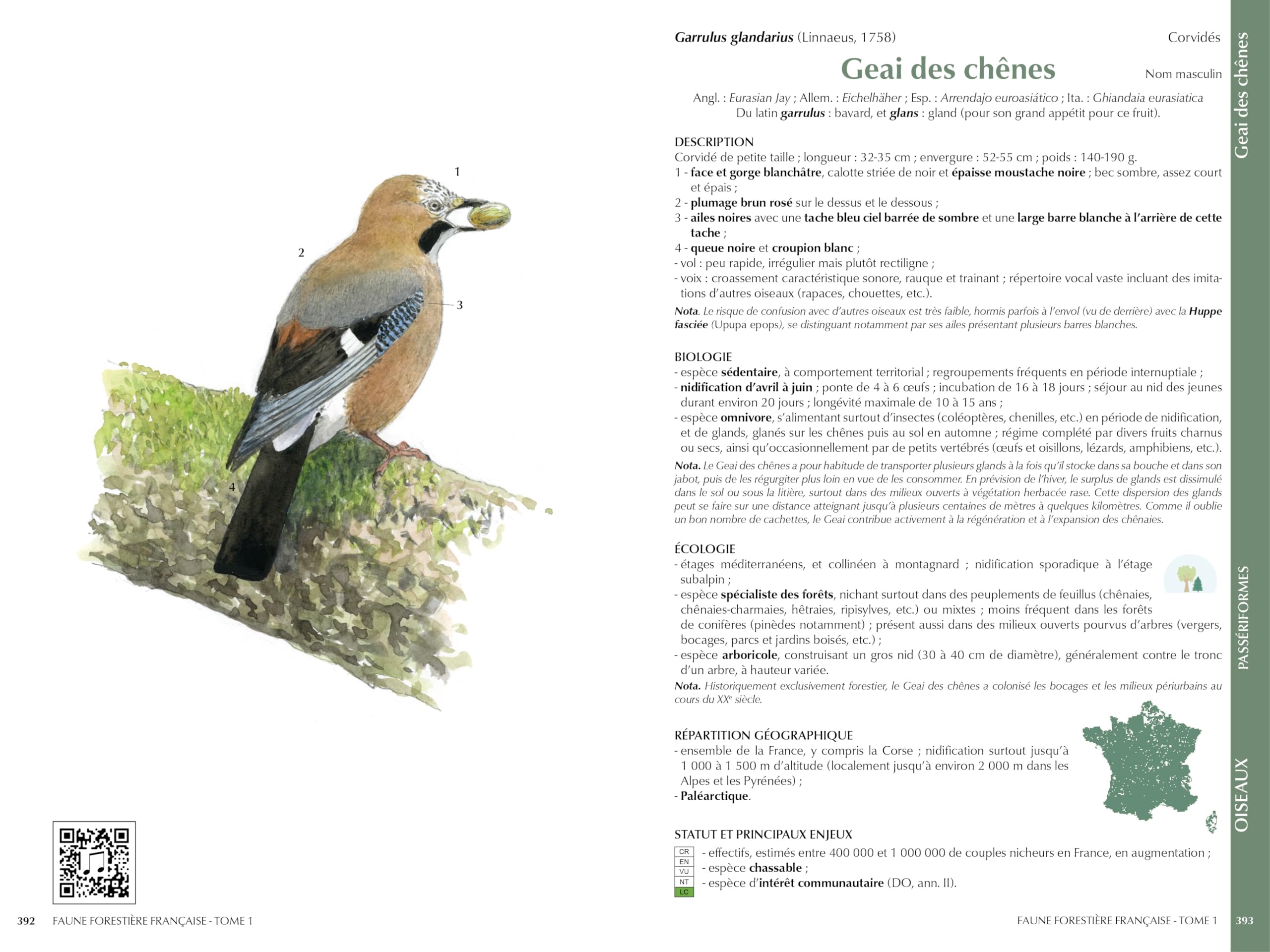 Faune forestière française Tome 1 - Vertébrés: Vertébrés (1)
