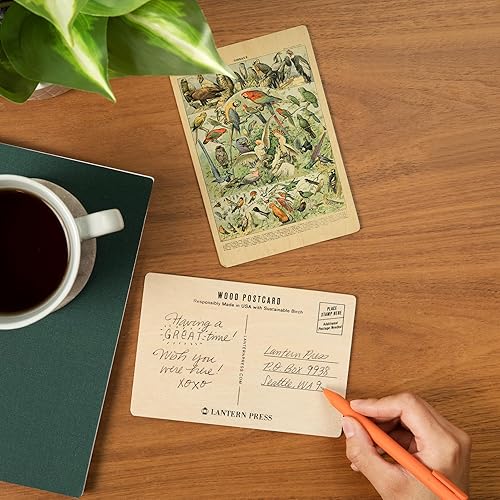 Miniatura 2 de Lantern Press Pájaros, A, estantería vintage, obras de arte Adolphe Millot (postales de madera de abedul de 4 x 6, paquete de 2 estacionarios,