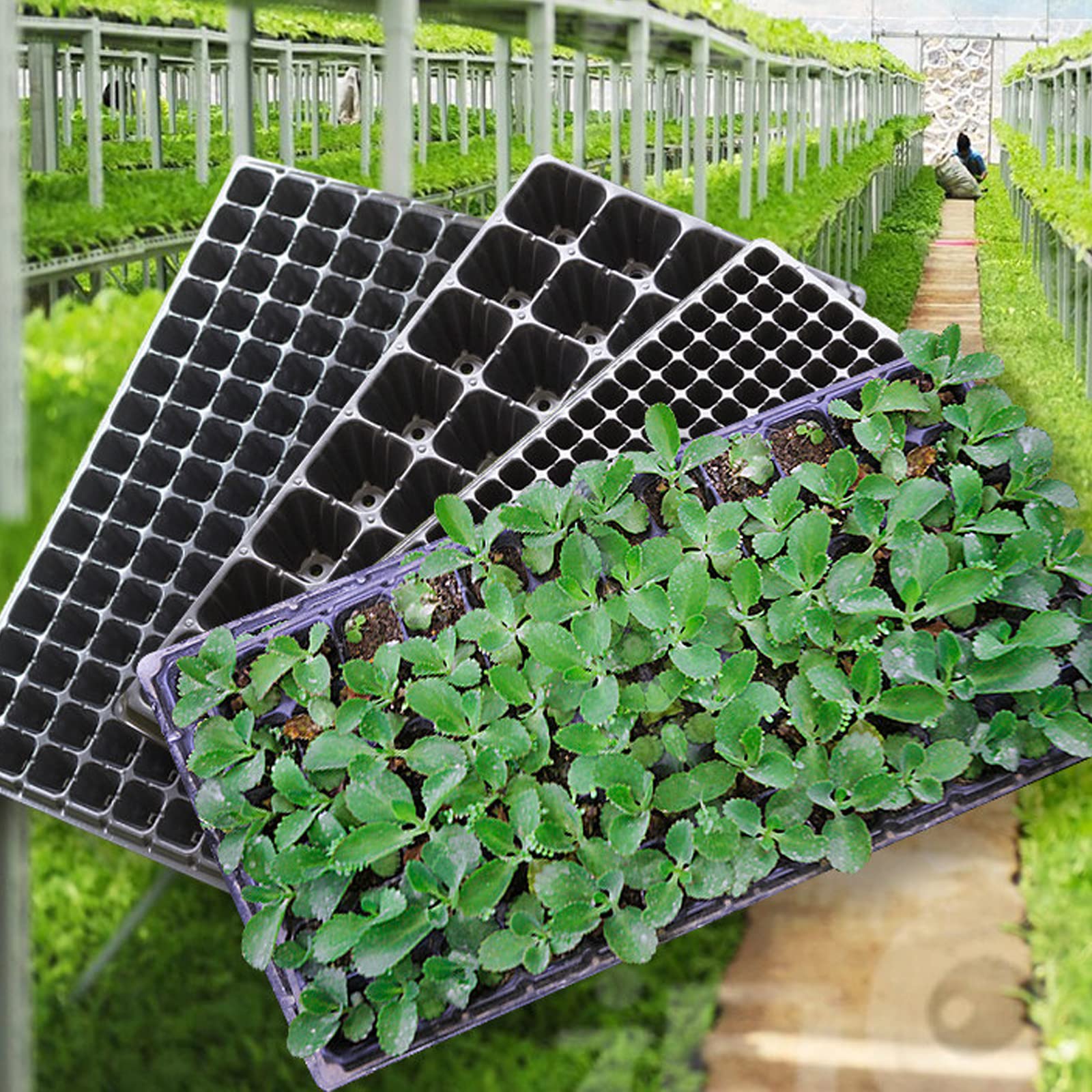 Bandeja semillero para Germinación, 32/50/72 Semillas Células Bandejas de Cultivo con Orificios de Drenaje para Jardín HidroponíA PláNtulas Plantas Flores, 32 Holes