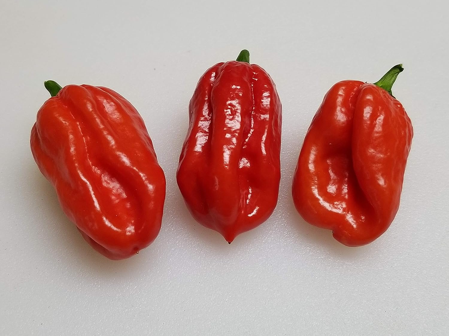 Vegetales