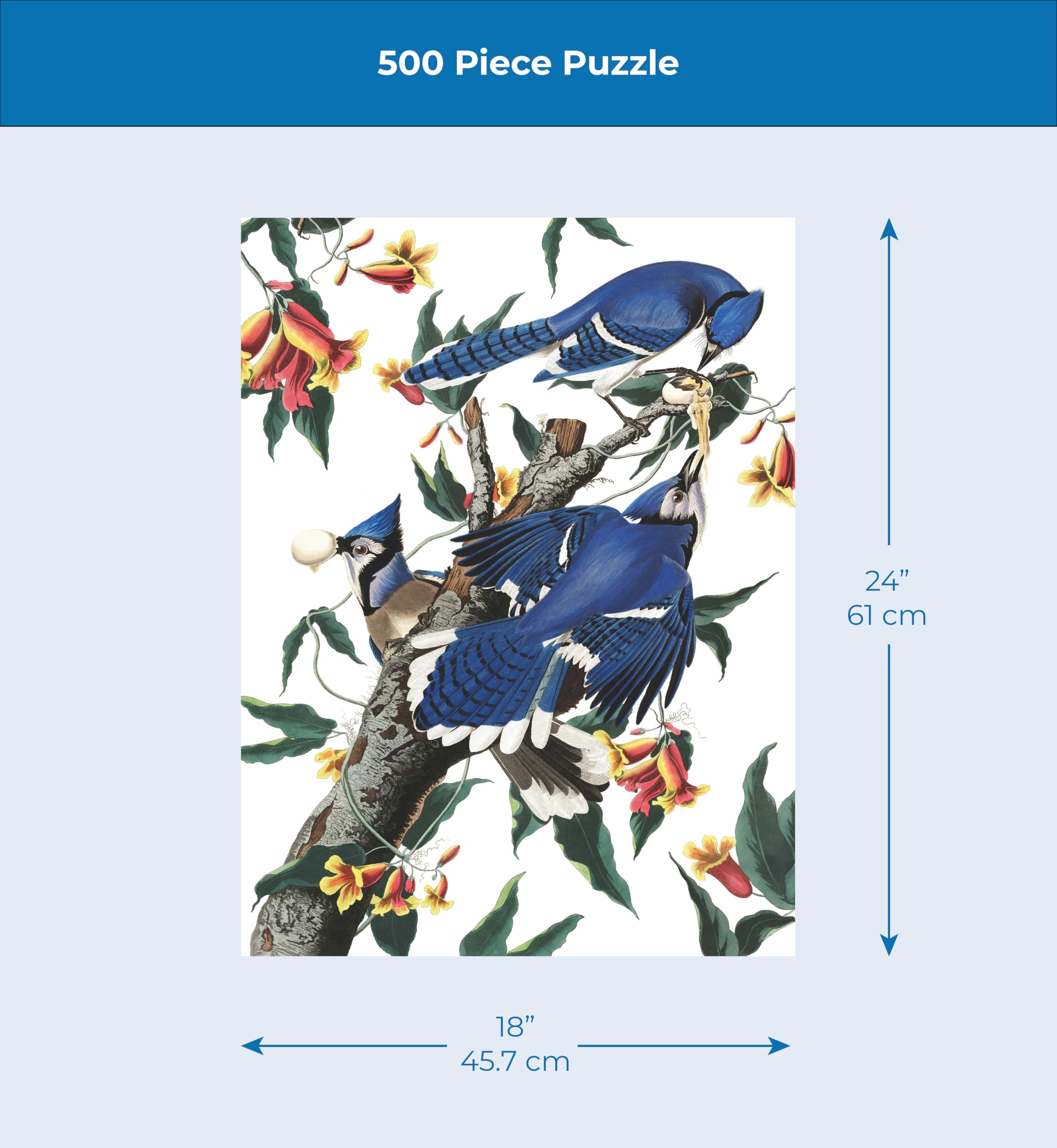 Amazon.co.jp: New York Puzzle Company - ビンテージイメージ ブルー