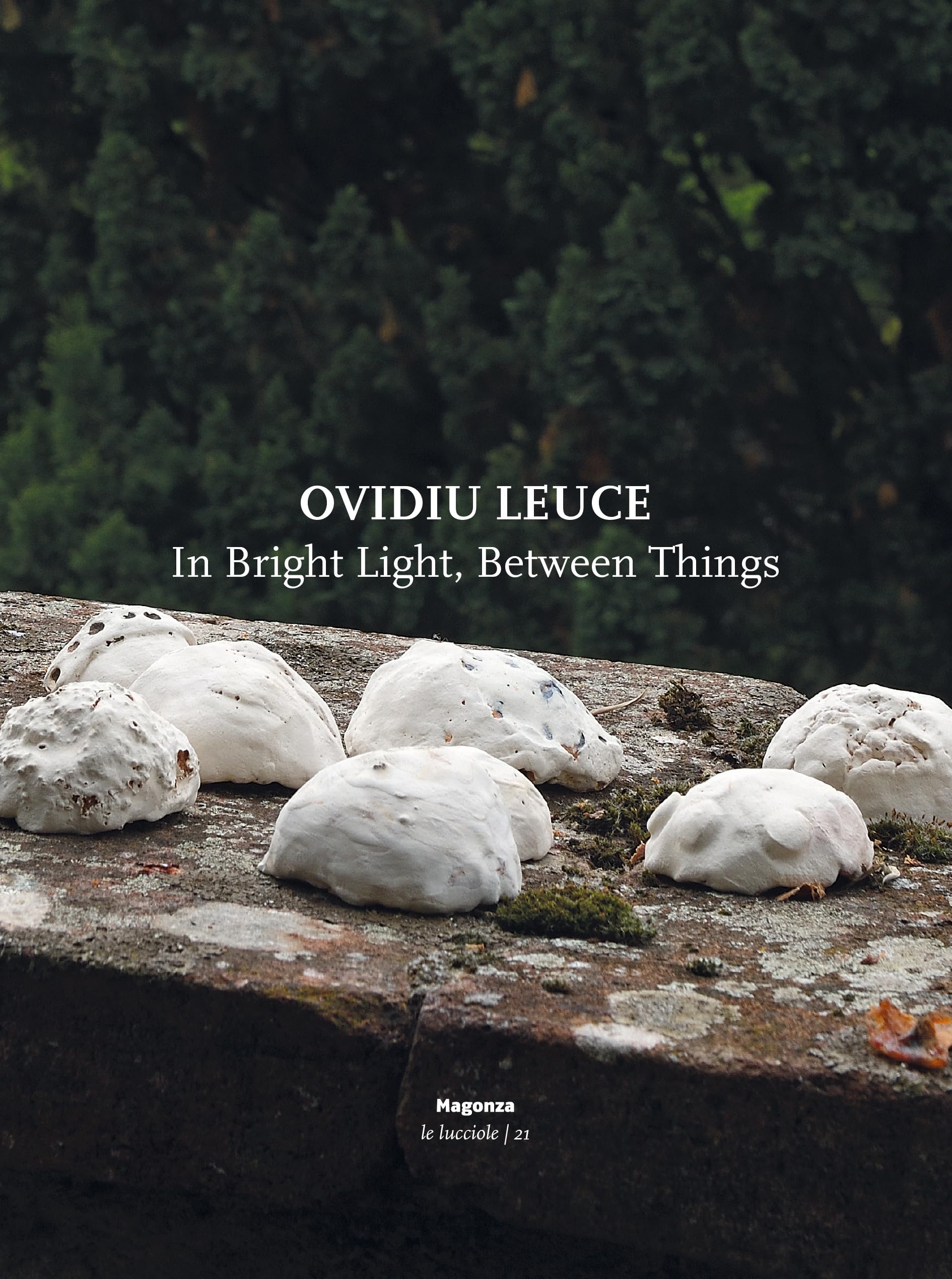 Magonza N°150 livre art Ovidiu Leuce édition luxe bilingue