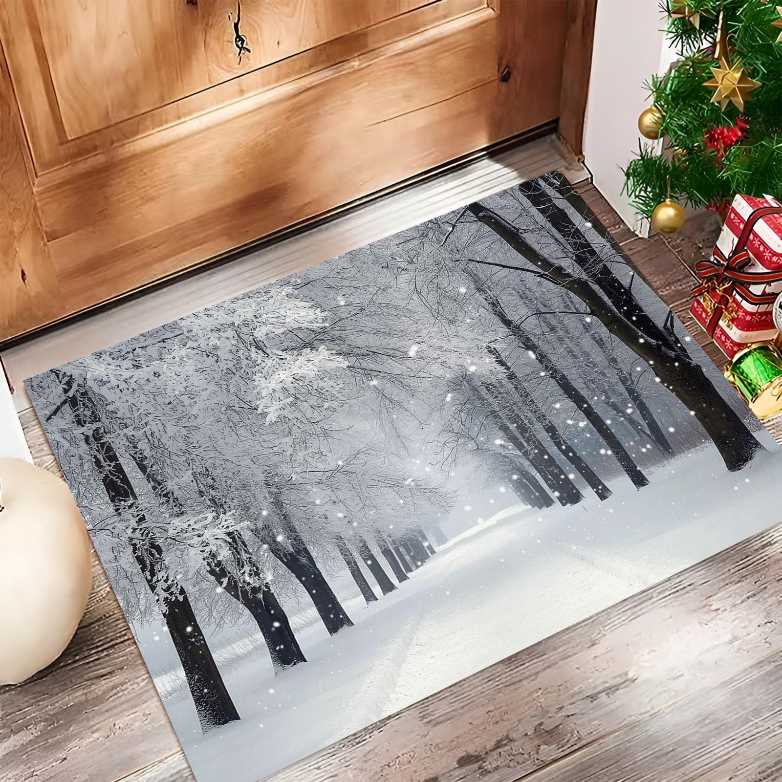 Tapis de porte de paysage d'hiver anti saleté pour couloir propre