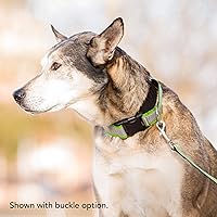 Vista 6 de If It Barks - Collar Martingala reflectante de 1.5 pulgadas con hebilla a presión rápida para perros - Ajustable - Fabricado en Estados Unidos