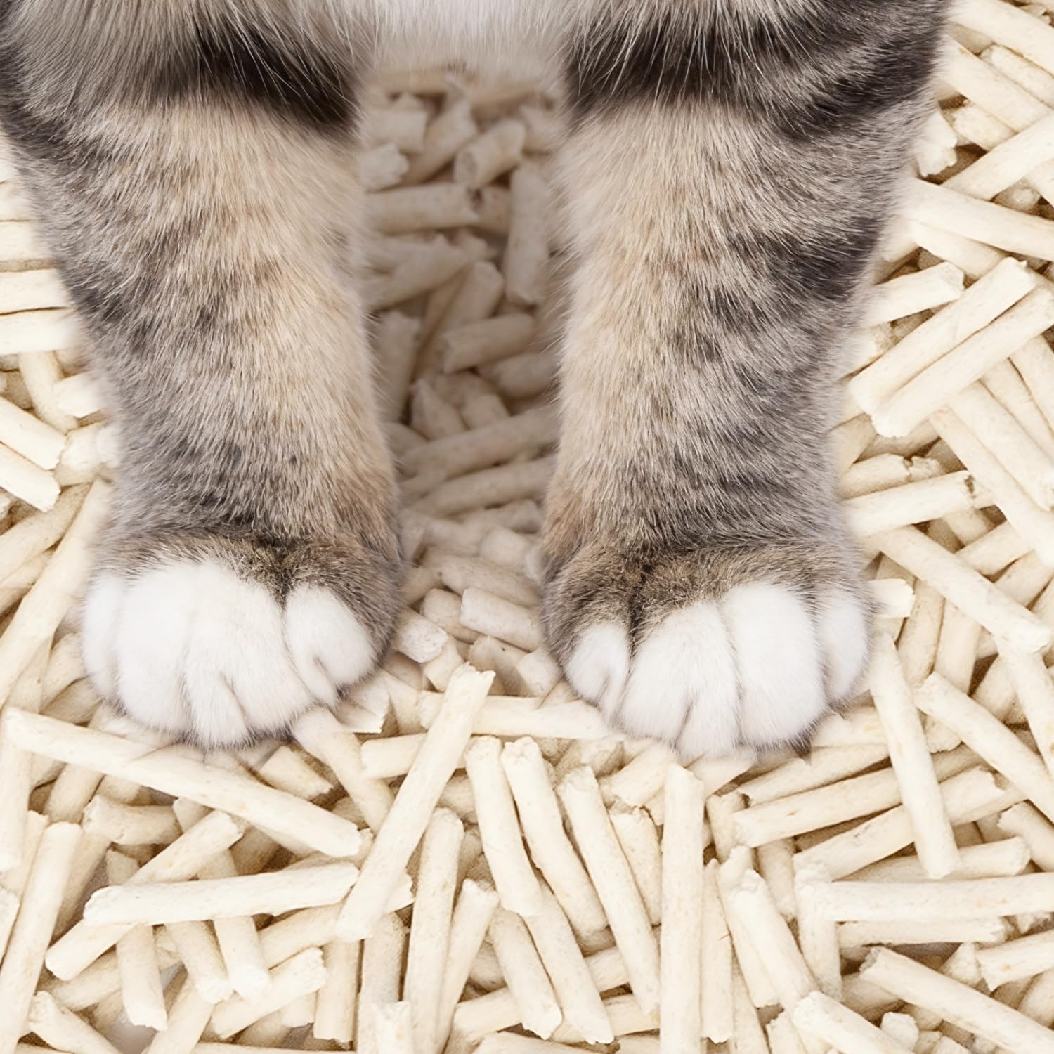 Nobleza Arena de Tofu para Gatos 20KG (8x2.5KG), Arena Aglomerante Natural, Sin Polvo, Control de Olores, Alta Absorción, Desechable en el Inodoro