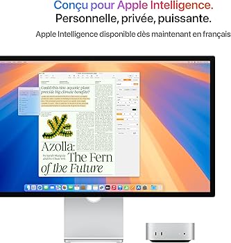 Apple Mac Mini Ordinateur de Bureau avec Puce M4, CPU 10 cœurs et