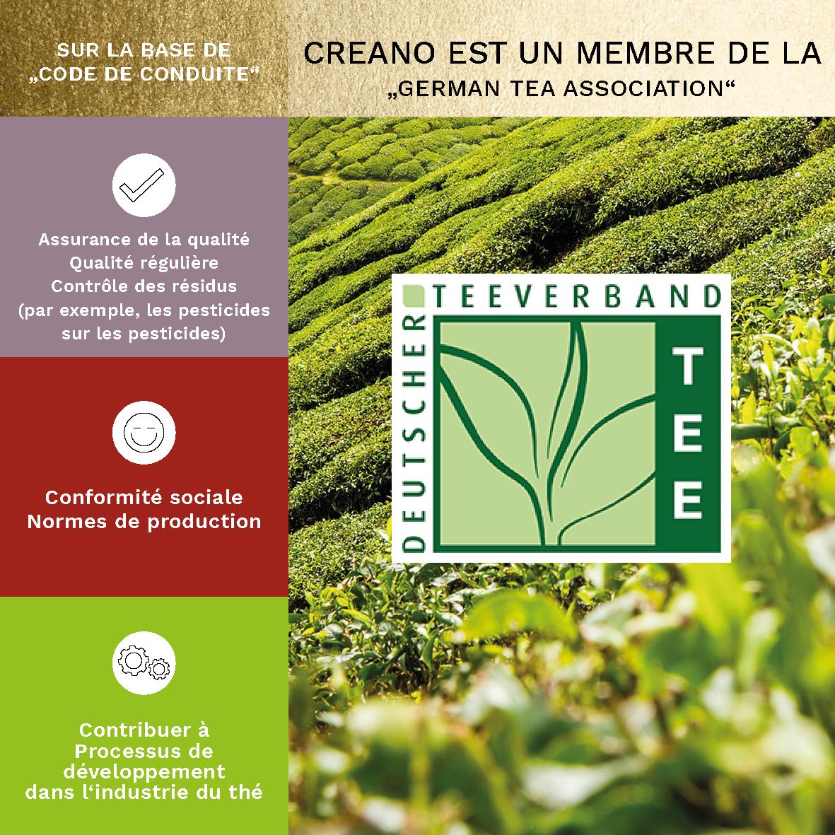Creano Coffret Cadeau Fleurs de Thé Mix 12 pcs – Boîte en Bois avec 3 Thés (Blanc, Vert, Noir) – 11 Variétés différentes – Idée Cadeau Durable et Chic
