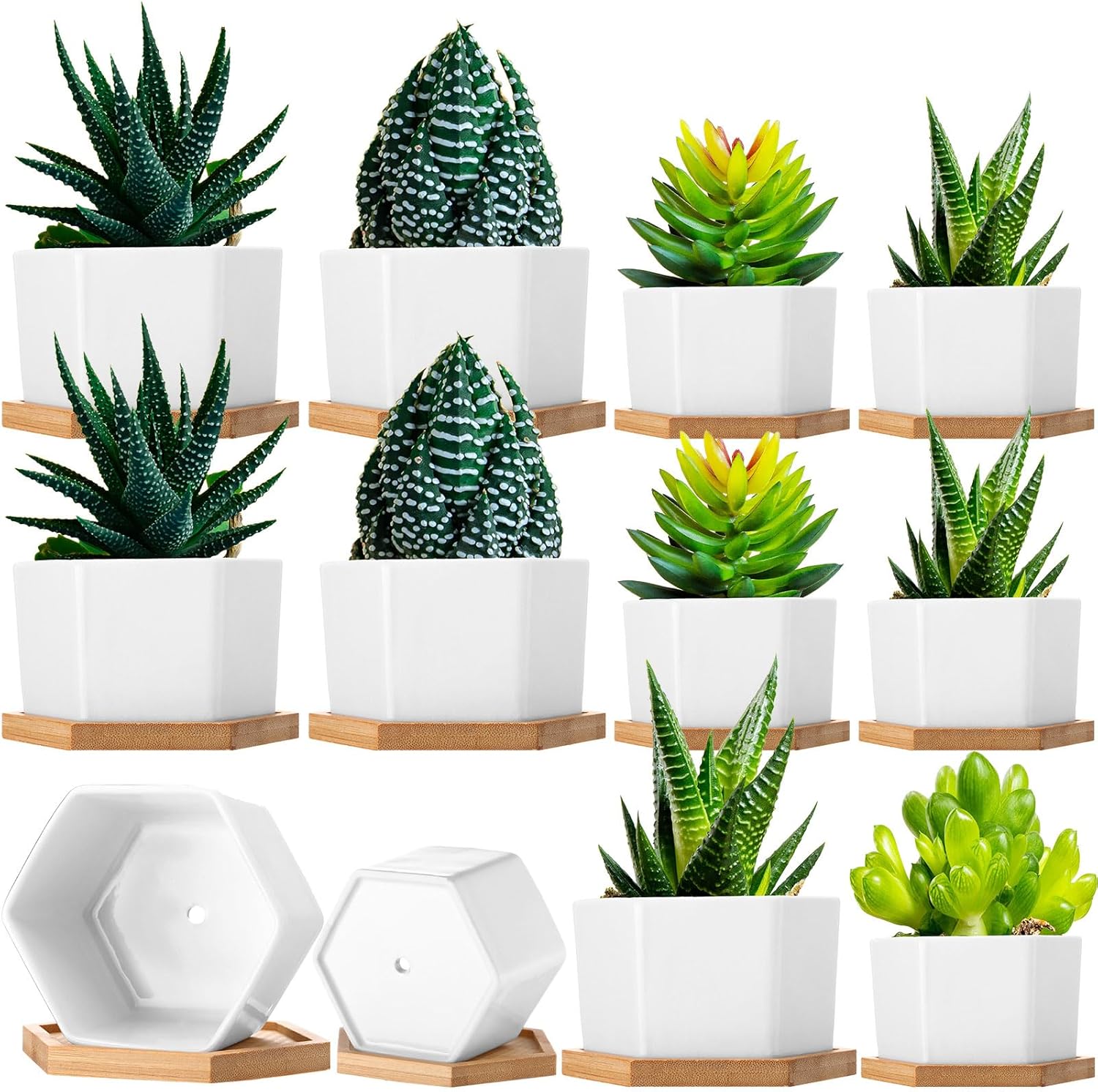 Meanplan 12 Pack Small Succulent Plant Pots Bulk White Ceramic Plant Pots with Bamboo Saucers Hexagon Pot with Drainage Holes for Indoor Outdoor(4", 3")