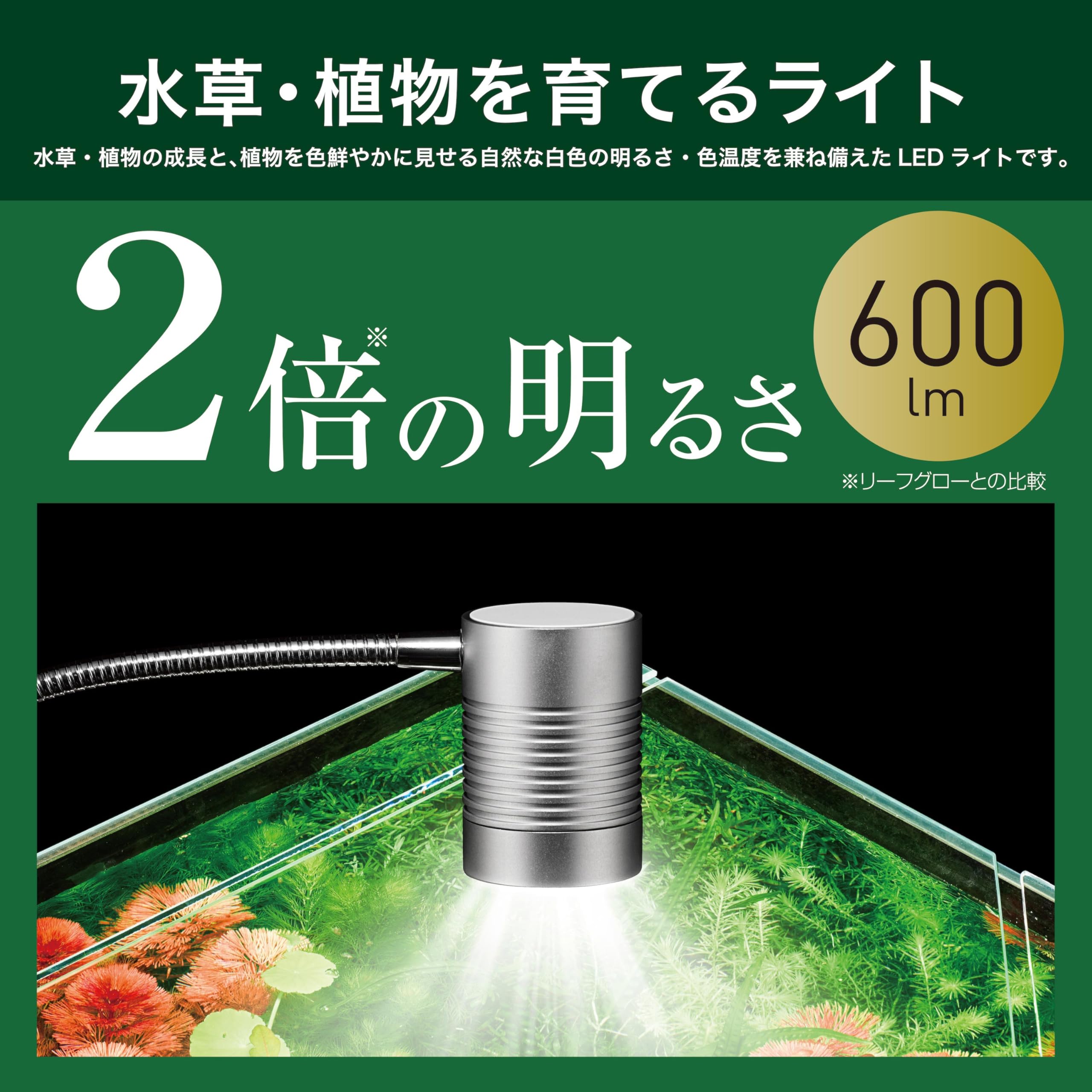 Amazon | ジェックス クリアLED リーフグロー EX-N USB電源 3種類の色