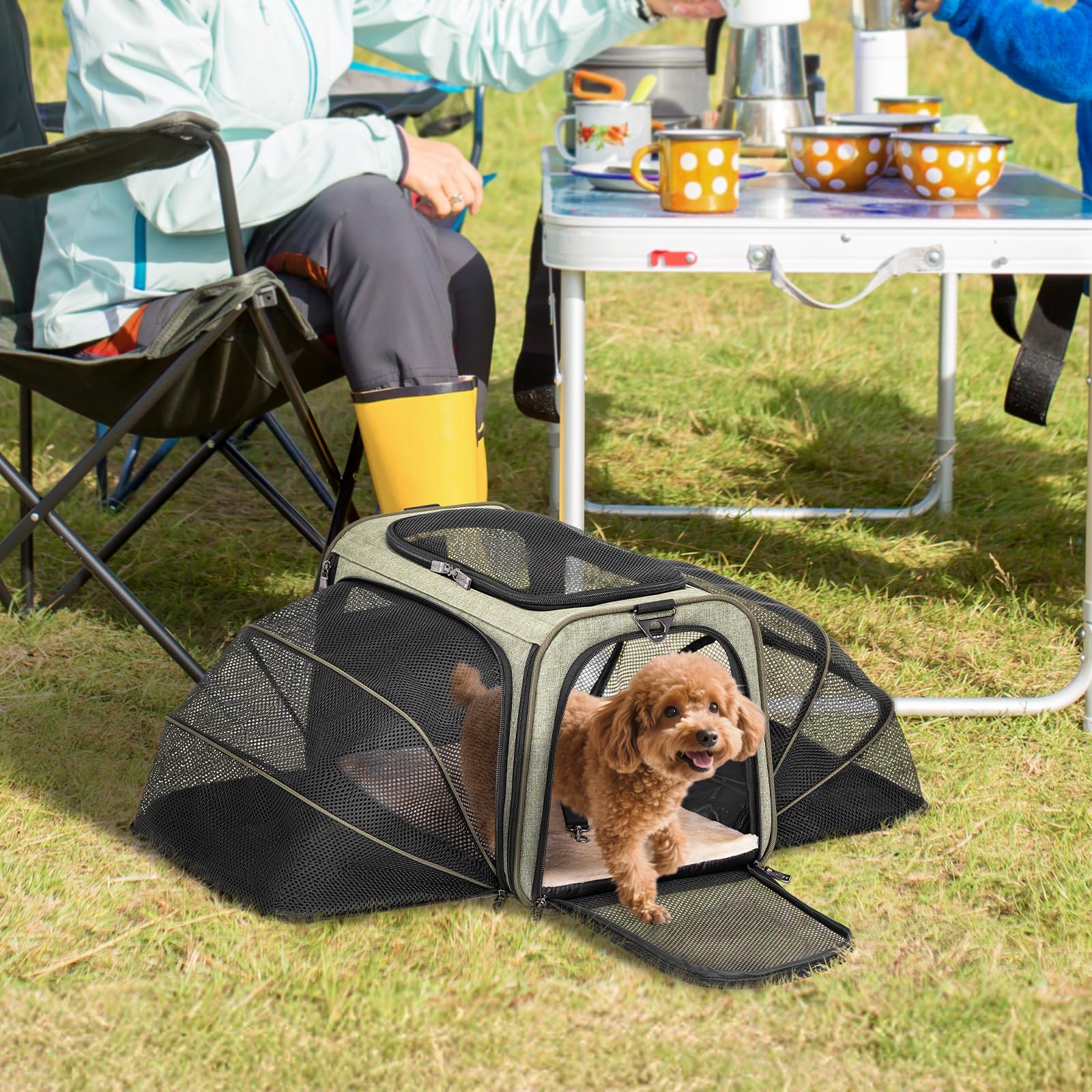 Petsfit Trasportino per gatti, espandibile, comodo trasportino pieghevole su due lati con tappetino in pile, trasportino per cani aperto nella parte superiore. Verde
