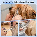 Pawaboo Dog Grooming Scissors Kit, 5-in-1 Professional Pet Grooming Scissors with Safety Round Tips, Ergonomic Stainless Steel Titanium Coated Dogs Trimming Shears for Small Large Pet Dog Cat, Blue