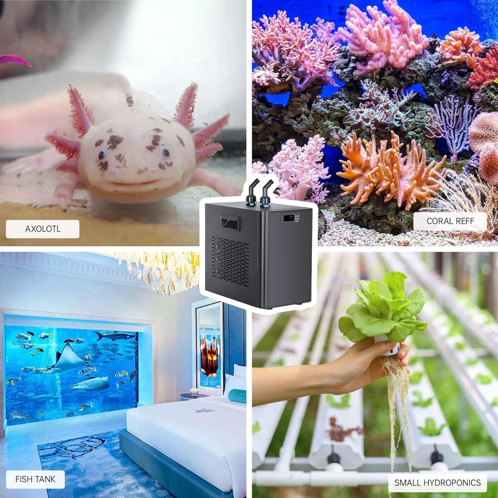 Sistema Refrigeración para Acuario 300L 1/3 HP,79 Galones Unidad Enfriamiento para Hidroponía,Axolotl,Corales,Agua Salada,Tecnología Enfriamiento,Precisión