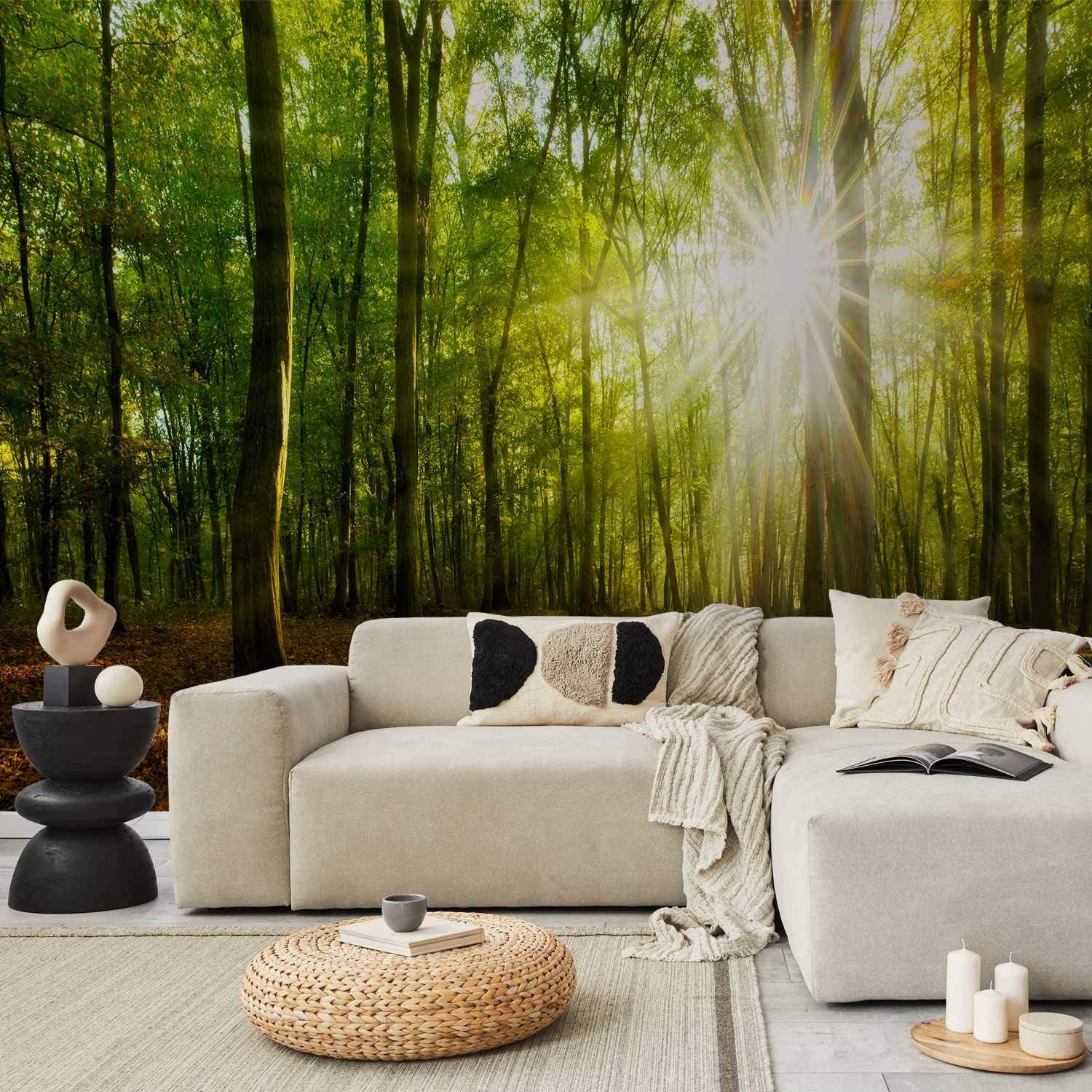 decomonkey Fototapete Wald, 350x256 cm, Baum Natur Landschaft Pflanzen Grün
