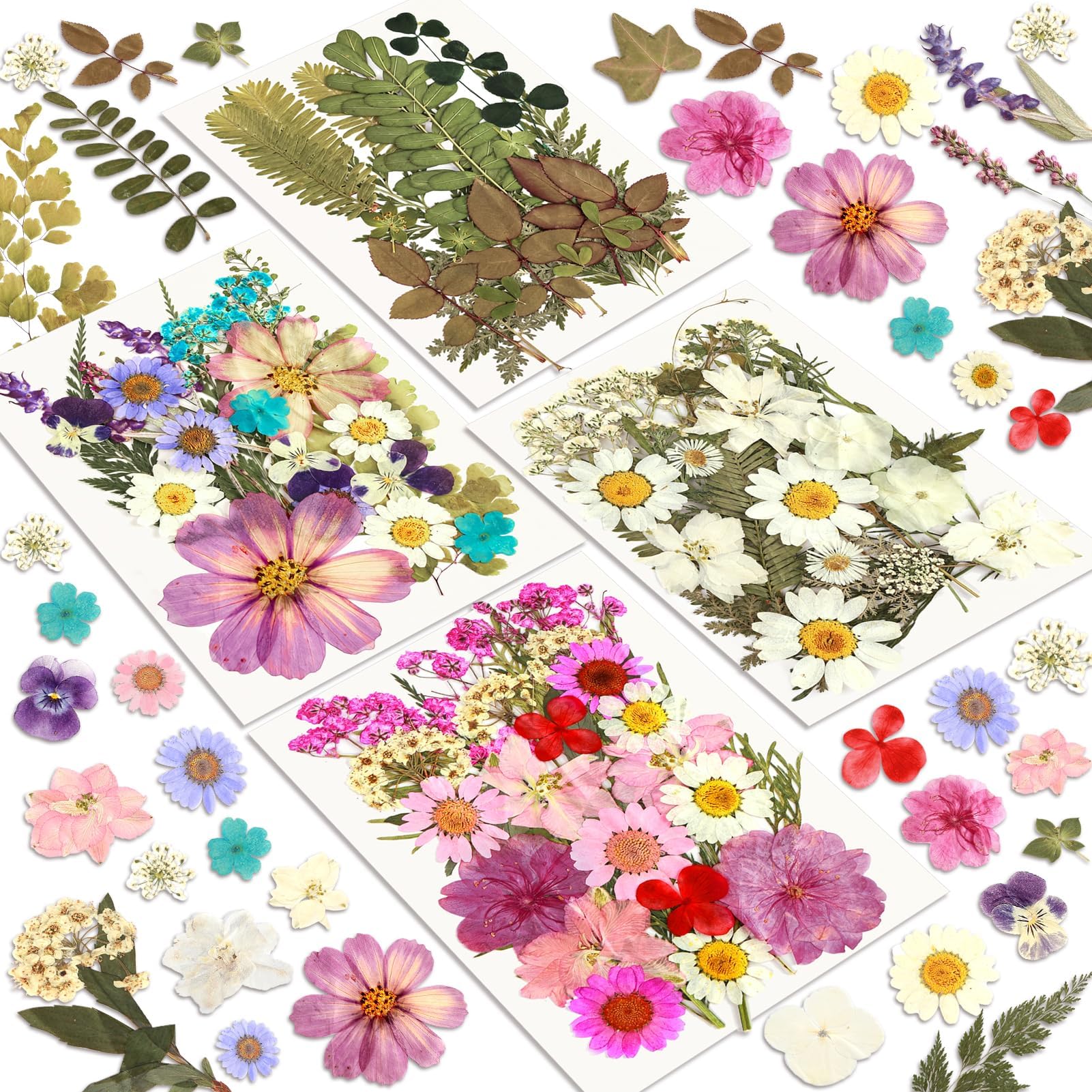 Dried Flowers, Resiners 100Pcs Pressed Flowers for Craft