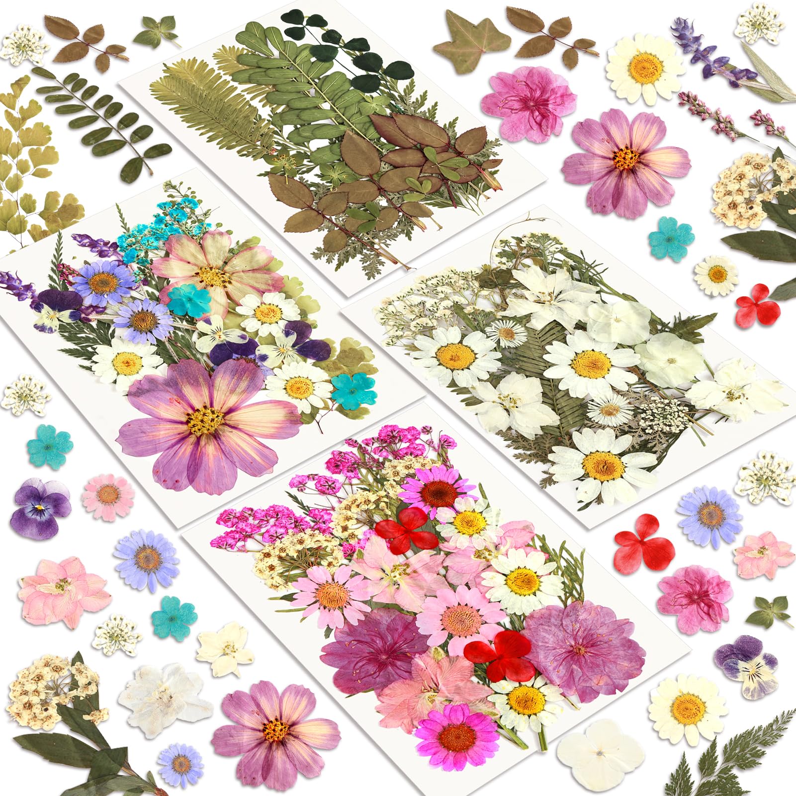 Dried Flowers, Resiners 100Pcs Pressed Flowers for Craft | Real Natural Dried Flowers Dry Leaves Kit for DIY Making Crafts Resin Soap Candle Scrapbook Supplies Card Making Jewelry