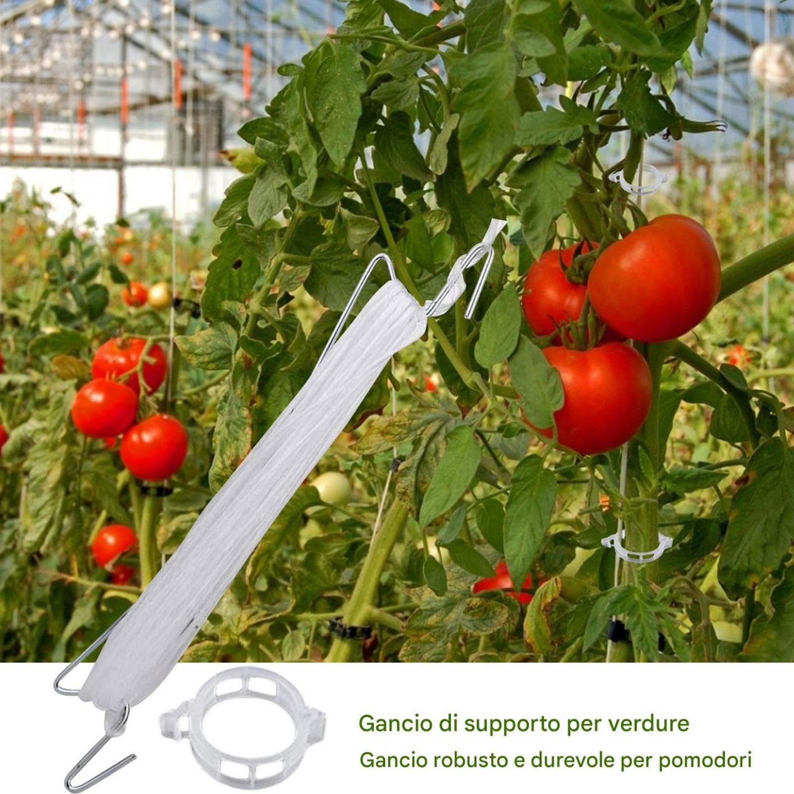 Ganci Per Pomodori Per Traliccio A Spago 10 Pezzi Di Molli Resistenti E | Ganci Per Verdure E Molli Per Piante Con Spago Da 10 m Per Esterno Verdura Frutta Piante Fiori Cetriolo Ang
