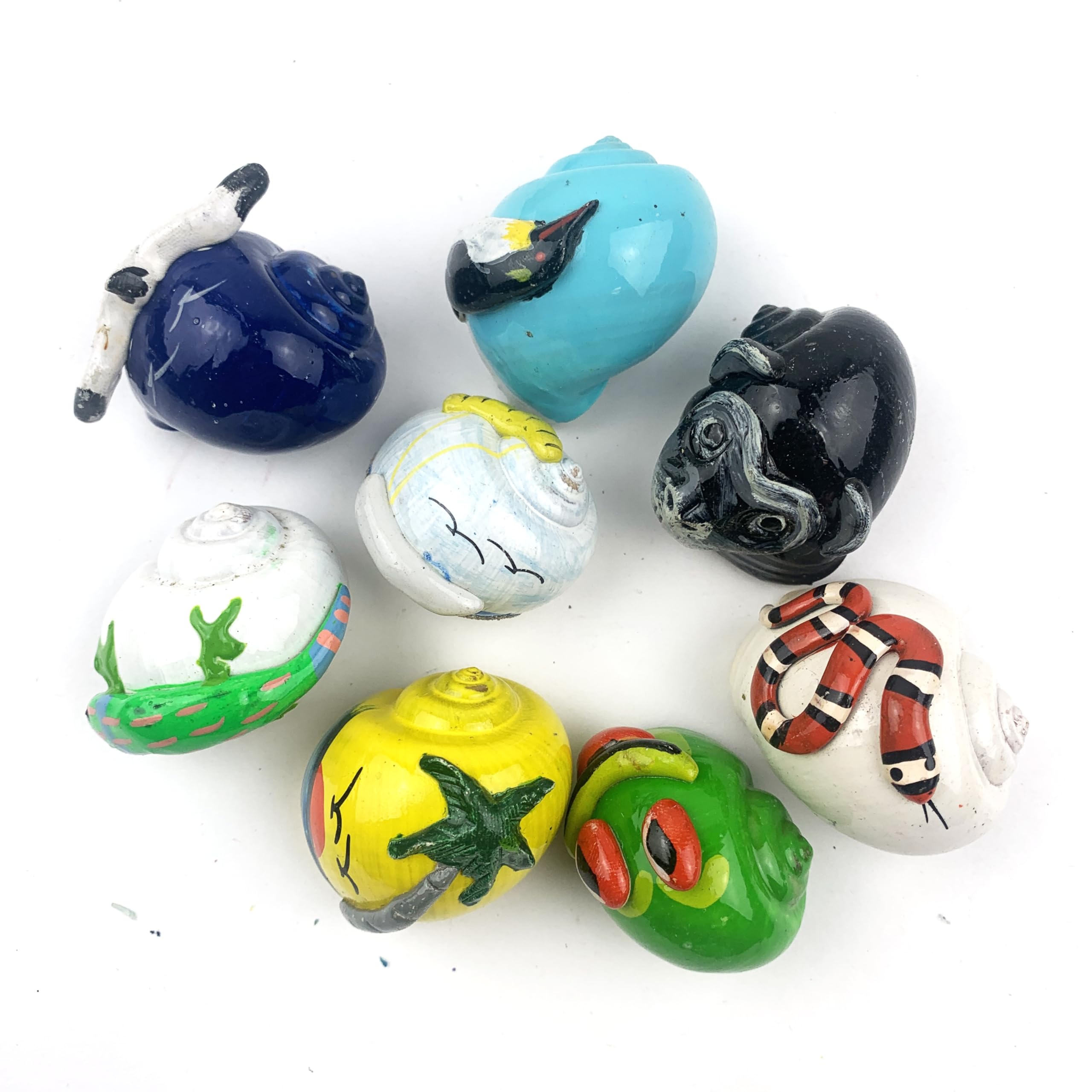 8PC Assorted Dyed Painted Hermit Crab Shells for Nautical Home Decor Accent and DIY Crafts 1.5"~2" Inch