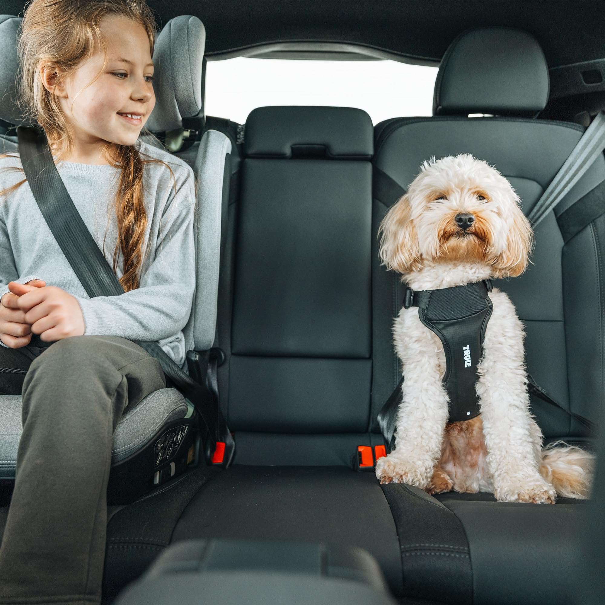 Thule Cappy Hundegeschirr Fürs Auto Black, S