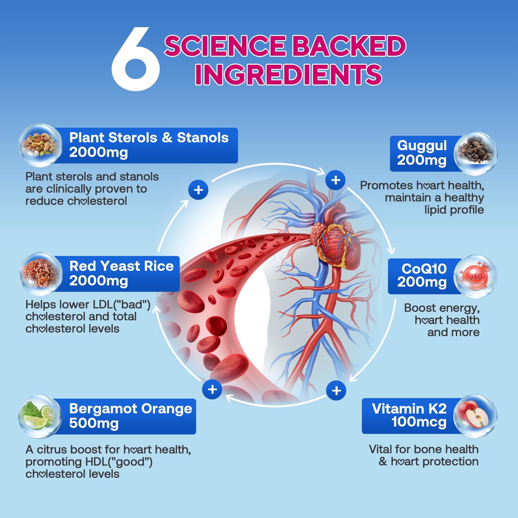 Cholesterol Lowering Supplements Gummies, Cholesterol Gummies with Plant Sterols & Stanols, Red Yeast Rice, Lower Cholesterol Naturally – Vegan, Non-GMO, Mixed Berry Flavor, 90Ct — Amazon image 3