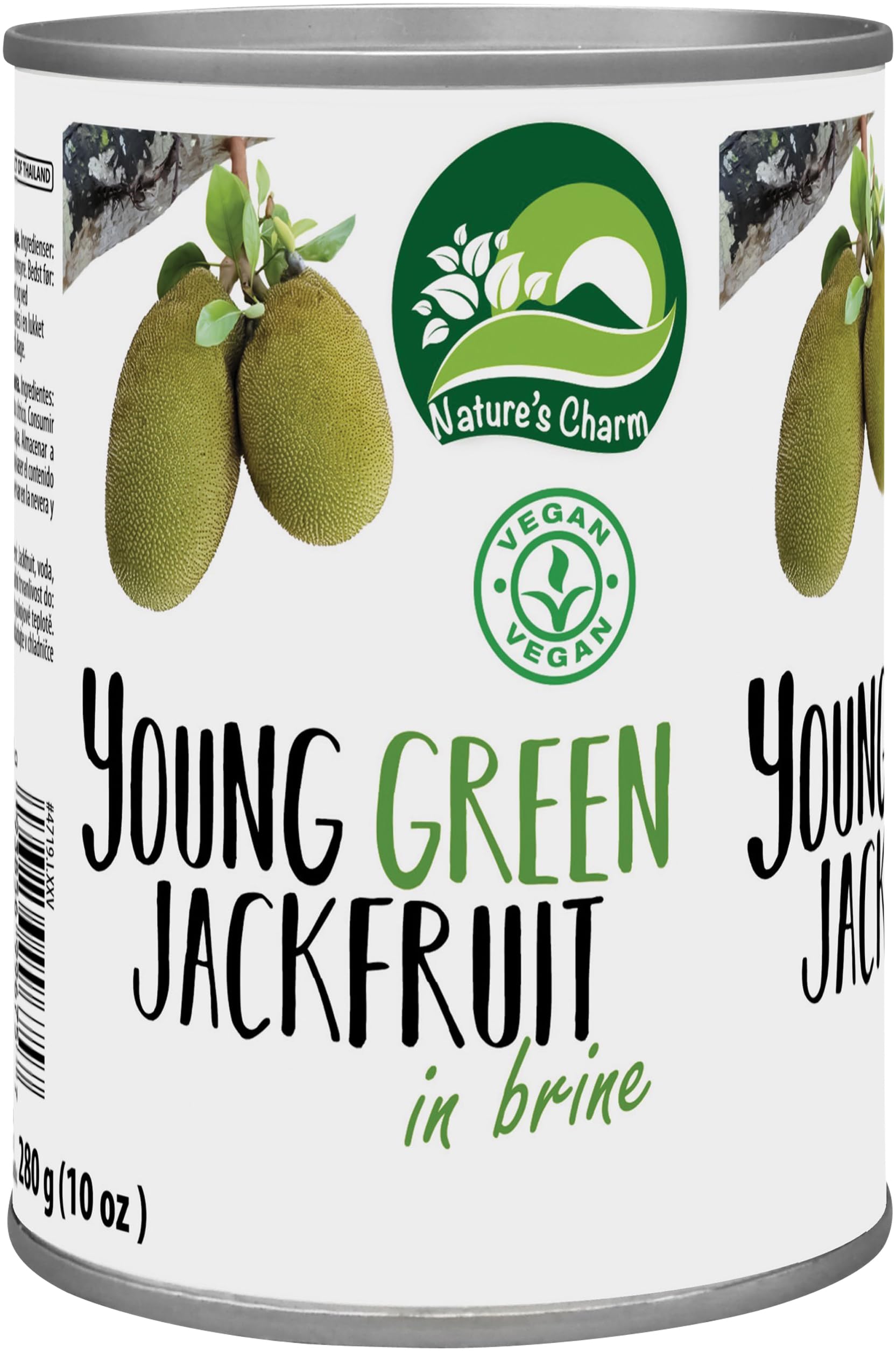 Nature’s Charm Jackfrucht in Lake I Salzig eingelegte, junge grüne Jackfruit I Ideal als pflanzlicher Fleischersatz für vegane Bowls, Sandwiches und Pfannengerichte I 1 x 565 g