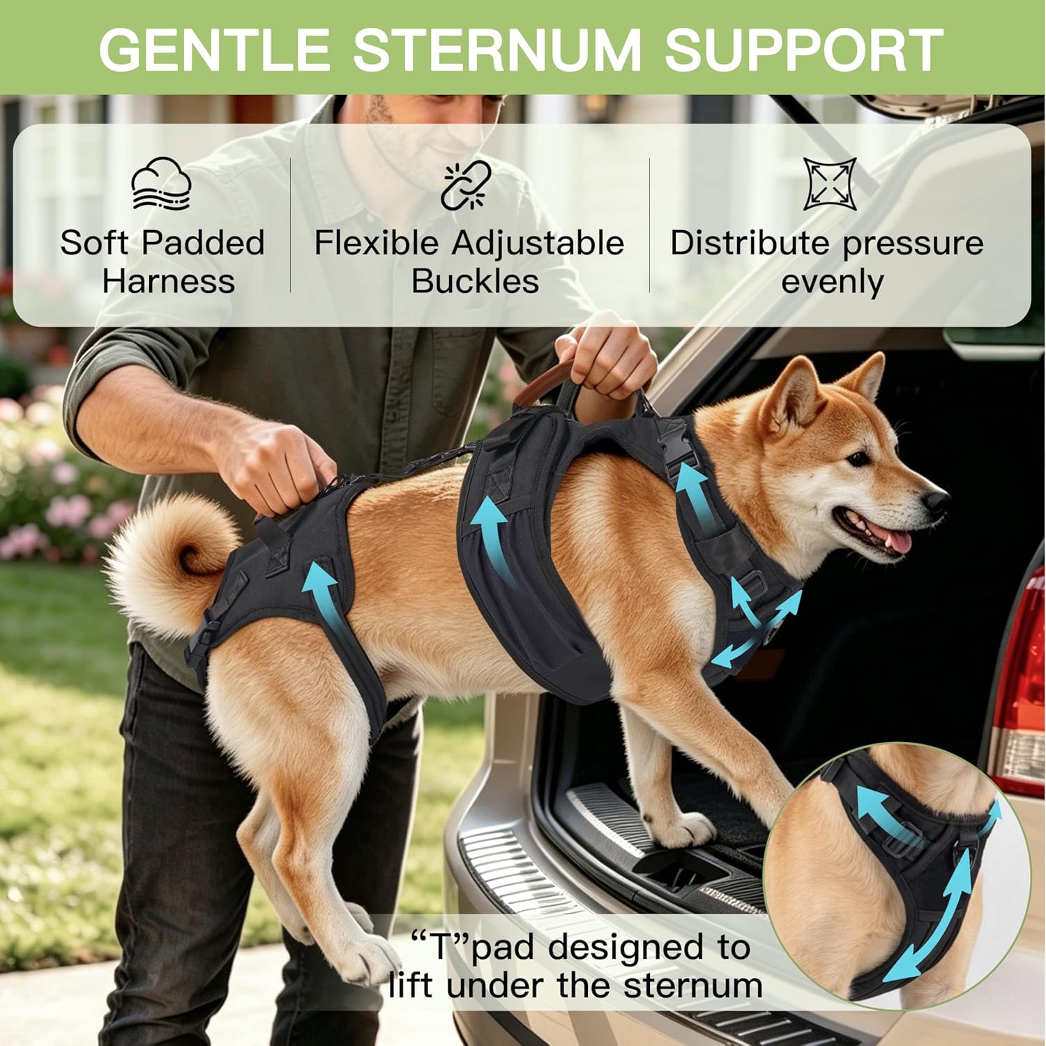 Dog Lift Harness for Male Dogs - 2-in-1 Full Body Support Aid & Sling, Comfortable & Chafe-Free for Post-Surgery Recovery and Elderly Dog Mobility, Hind Leg Assistance, Supports up to 40 Lbs (M)