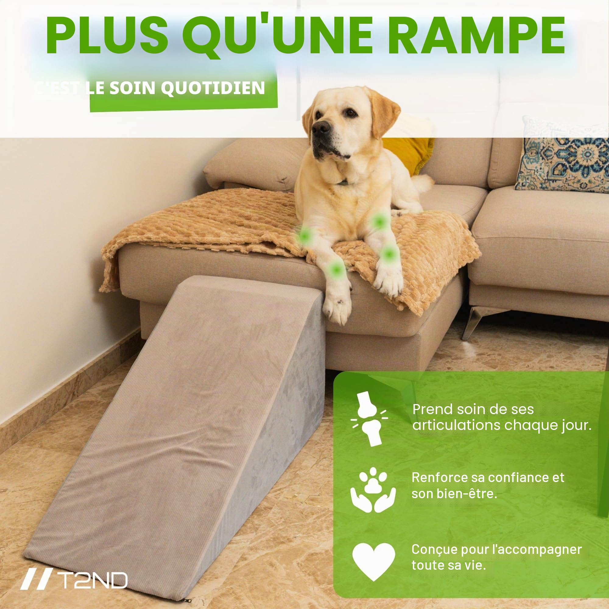 Rampe pour chiens (petits et grands) - L'aide quotidienne pour monter sur le canapé, le lit ou la voiture et éviter les blessures | Échelle antidérapante, housse lavable et brosse incluse | Supporte