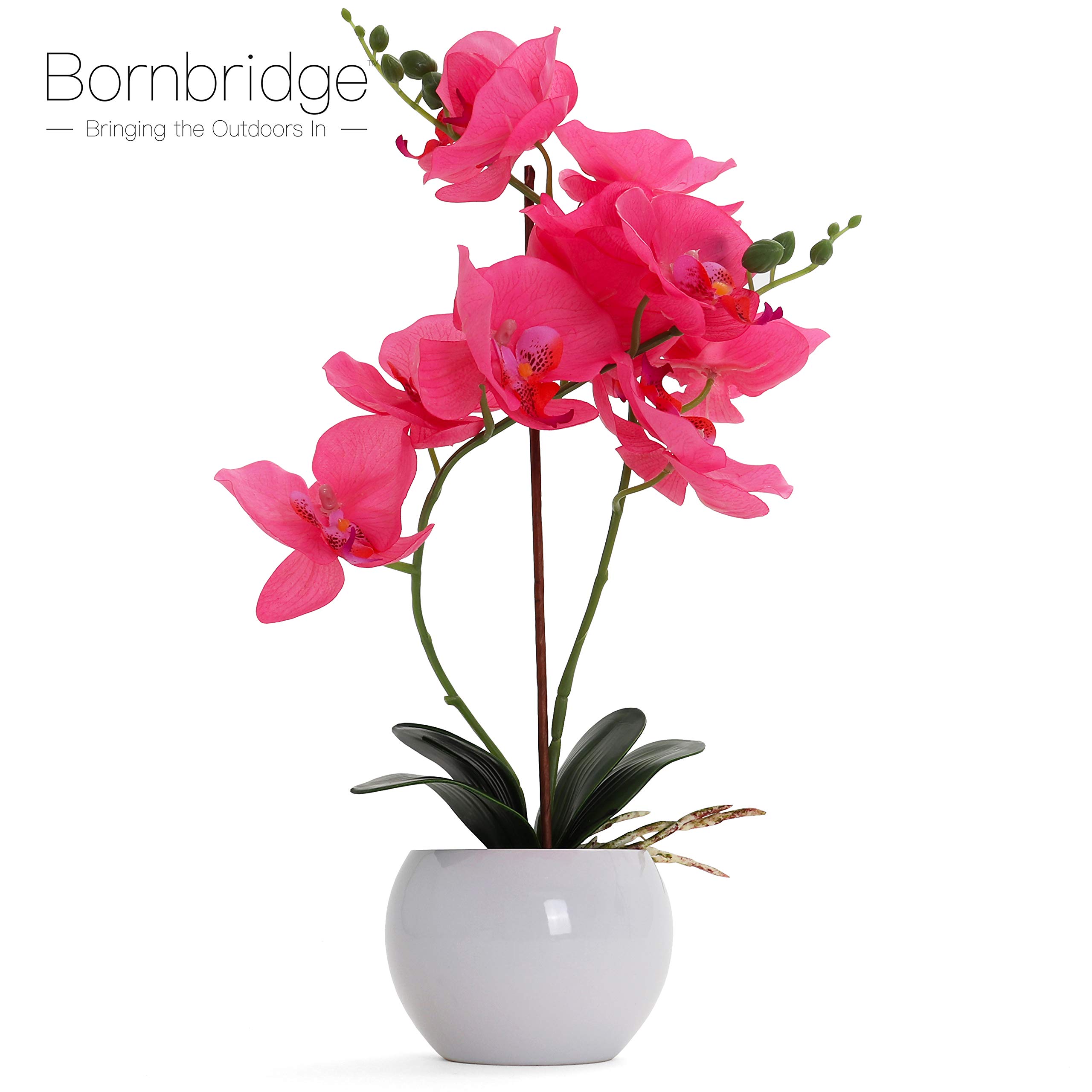 Artificial Orchid - Fake Orchid Plant with Real Touch Flowers - Faux Orchid with Long Stem Artificial Flowers - Potted Orchid/Plastic Orchid Fake Flowers (Single, Hot Pink - Large)