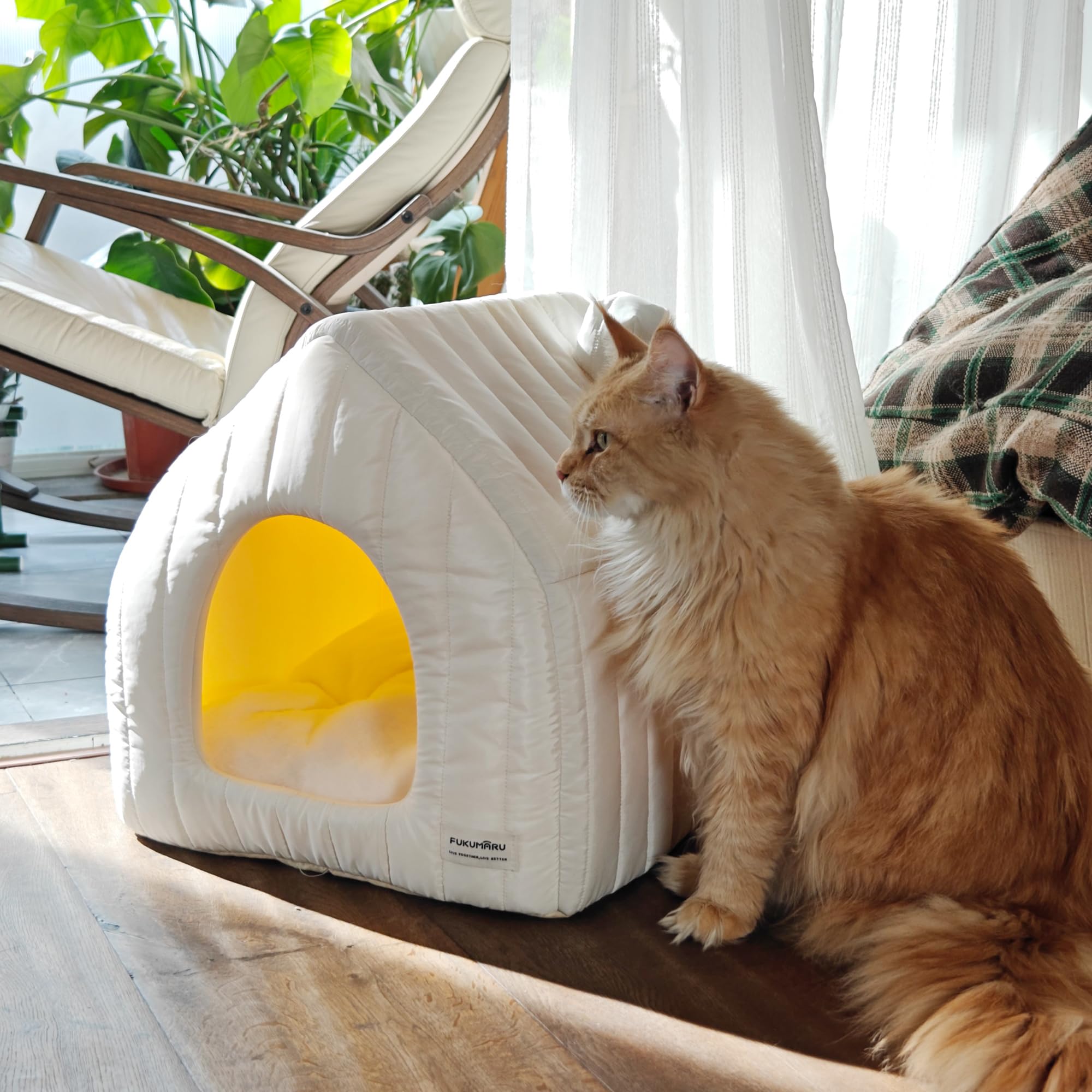 FUKUMARU Cuccia per Gatti da Interno, Casetta a Tenda Morbida Termica Impermeabile, Cuscino Rimovibile e Lavabile, Base Antiscivolo, Cuccia Pieghevole, Leggera e Facile da Pulire.