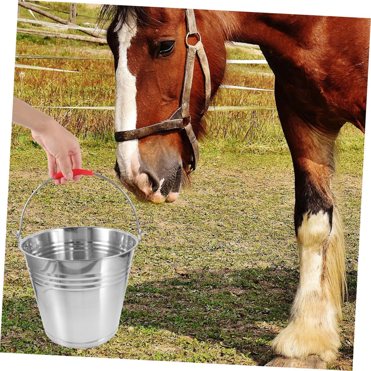 Stainless Steel Horse Feeding Bucket Durable Multi Purpose Water and Feed Container with Strong Handle for Foal Feeding Bathing Use Versatile Bucket