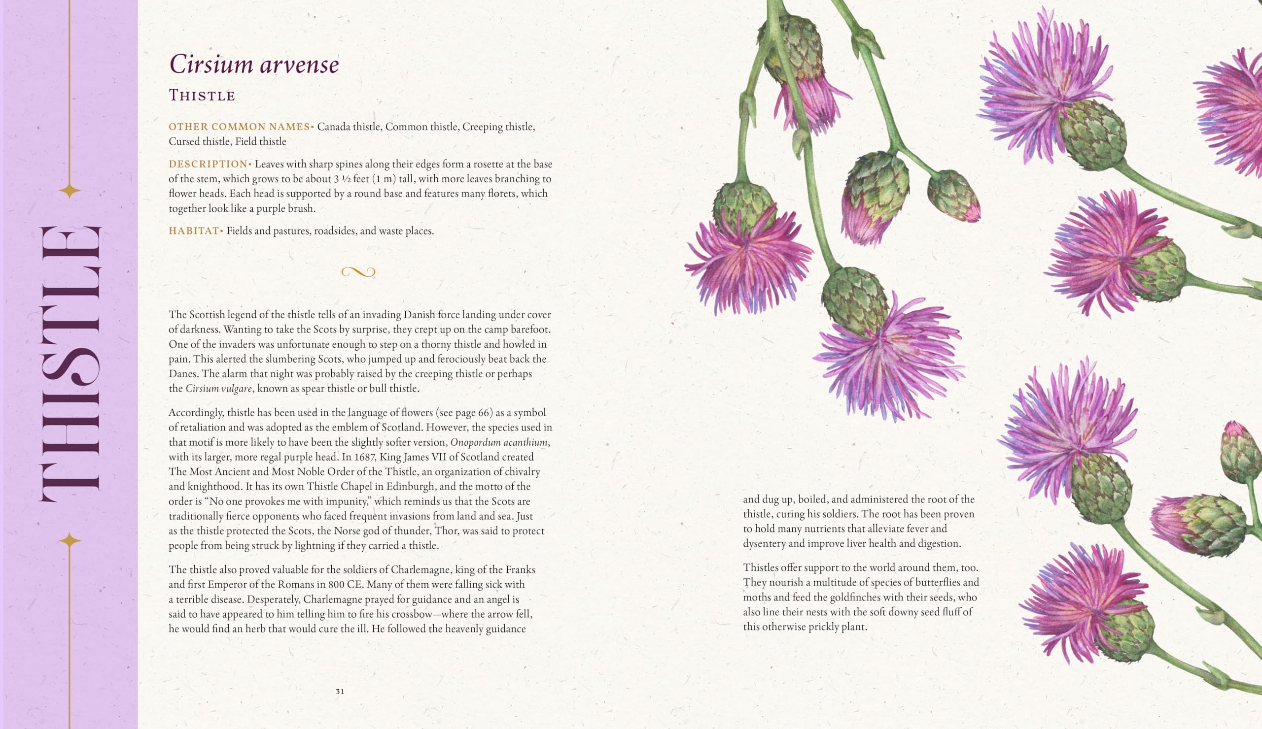 The Folklore of Wildflowers: Stories and History in Bloom