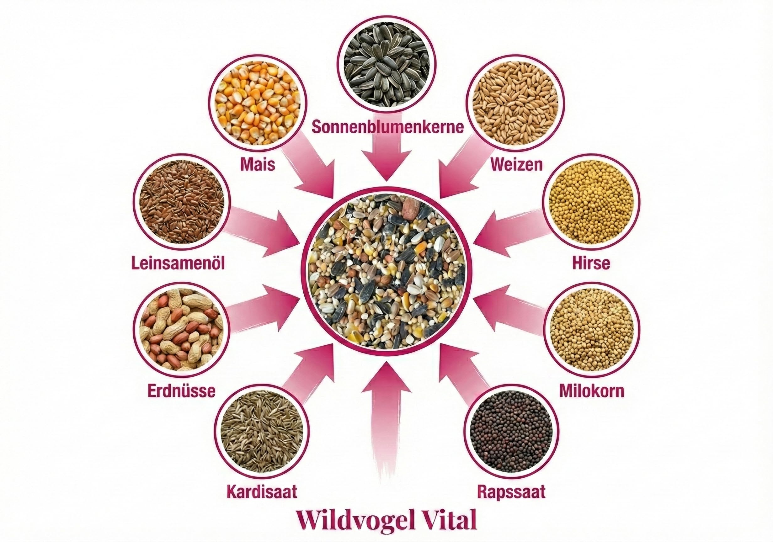 MeinWildvogel - Wildvogel-Vital - Premium Vogelfutter 30 kg XXL - Wildvogelfutter - Streufutter - Ganzjahresfutter für Vögel mit Sonnenblumenkernen & Erdnüssen - Gentechnikfrei & Ambrosia-kontrolliert