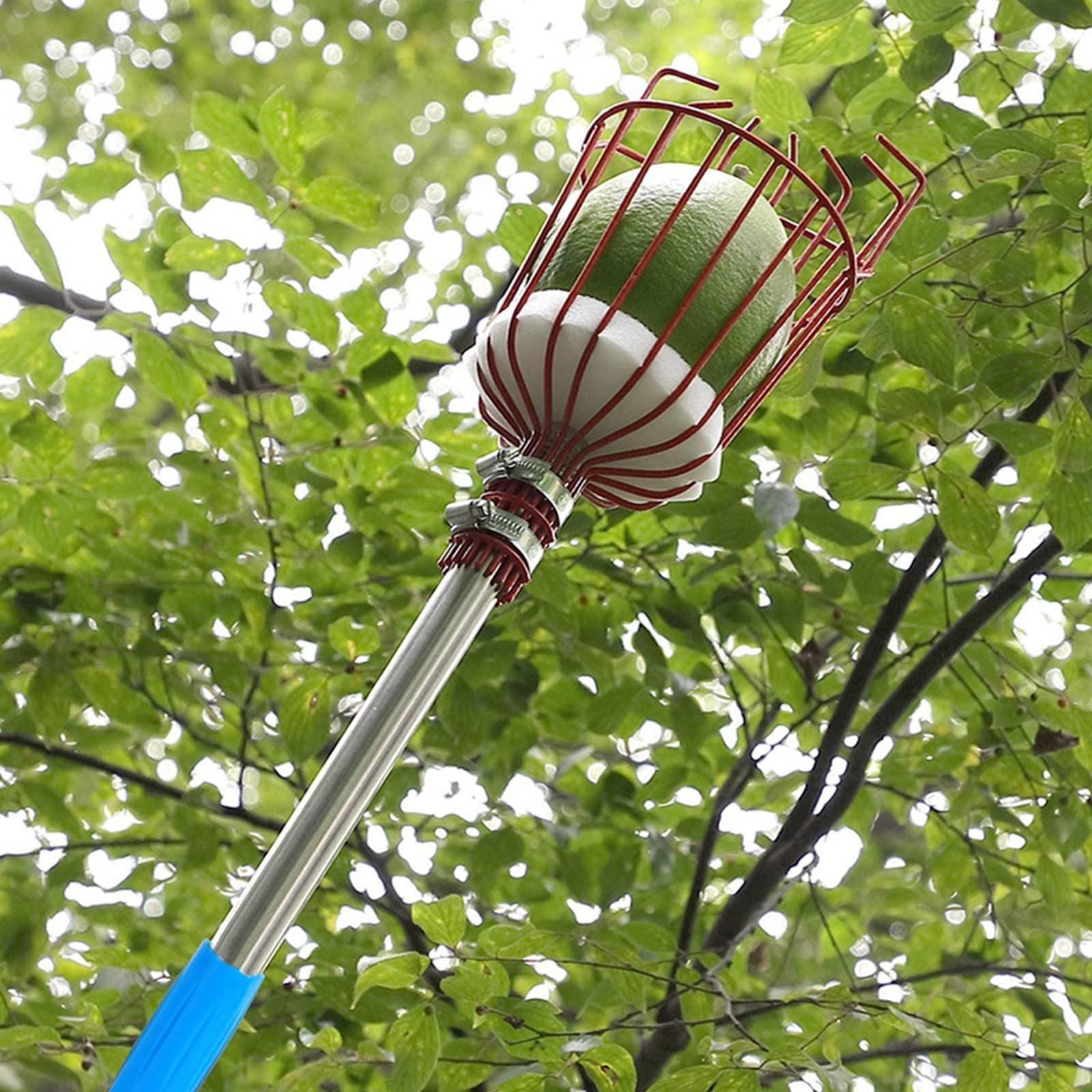 LekLai Zbierak Do Owoców 4M/13Ft, Sprzęt Do Zbierania Owoców Kosz Do Zbierania Owoców Z Opcjonalnym Łączeniem Lekkiej Stali Nierdzewnej, Narzędzie Do Chwytania Owoców Do Jabłek