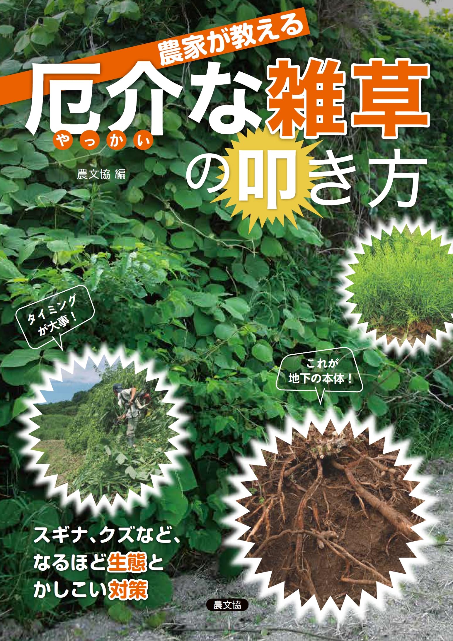 農家が教える 厄介(やっかい)な雑草の叩き方: スギナ、クズなど