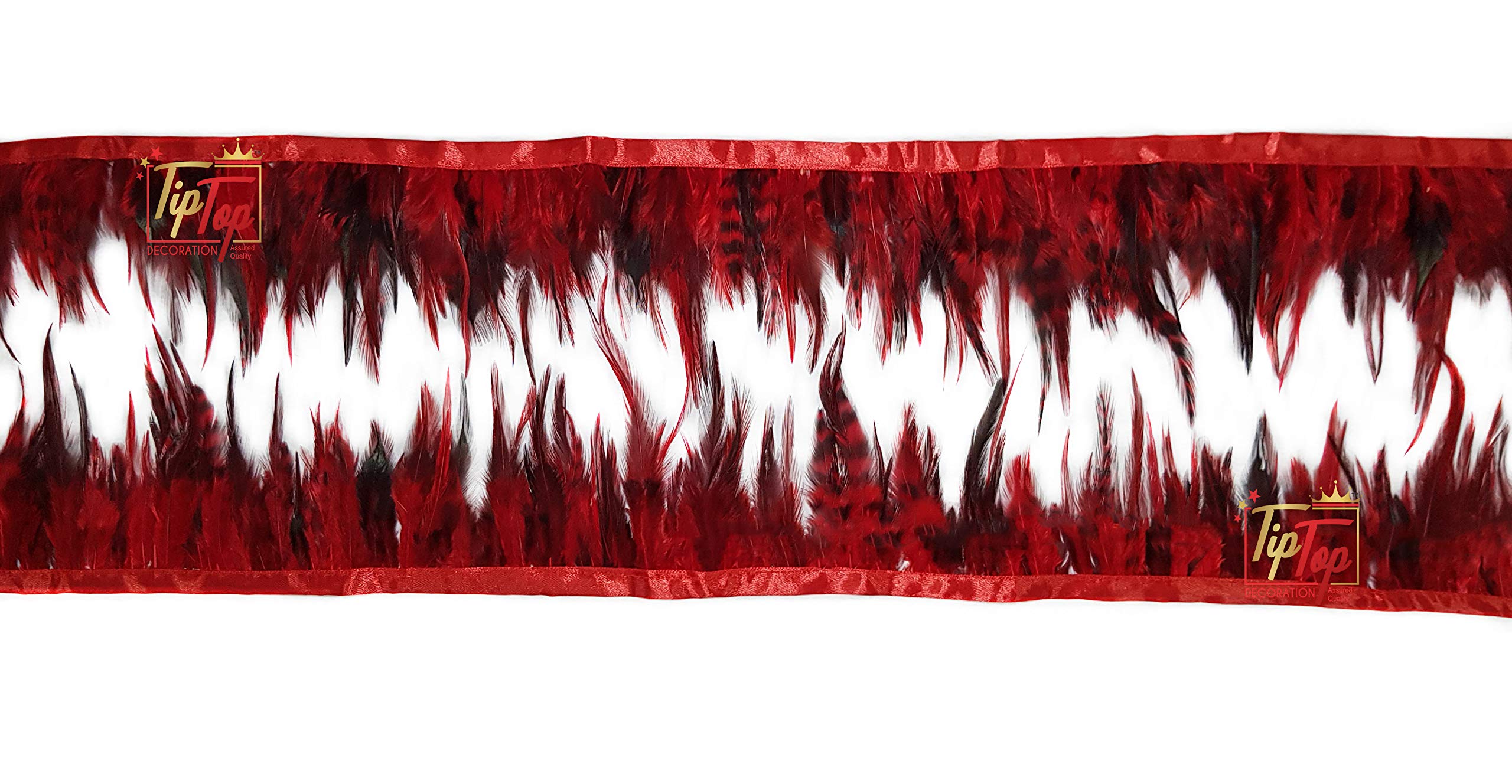 Tiptop Decoration Natural Hackle Pointed Dyed Feathers Trim Fringe Lace (4-5 Inch) (9 Meters) (Imperial Red) 2