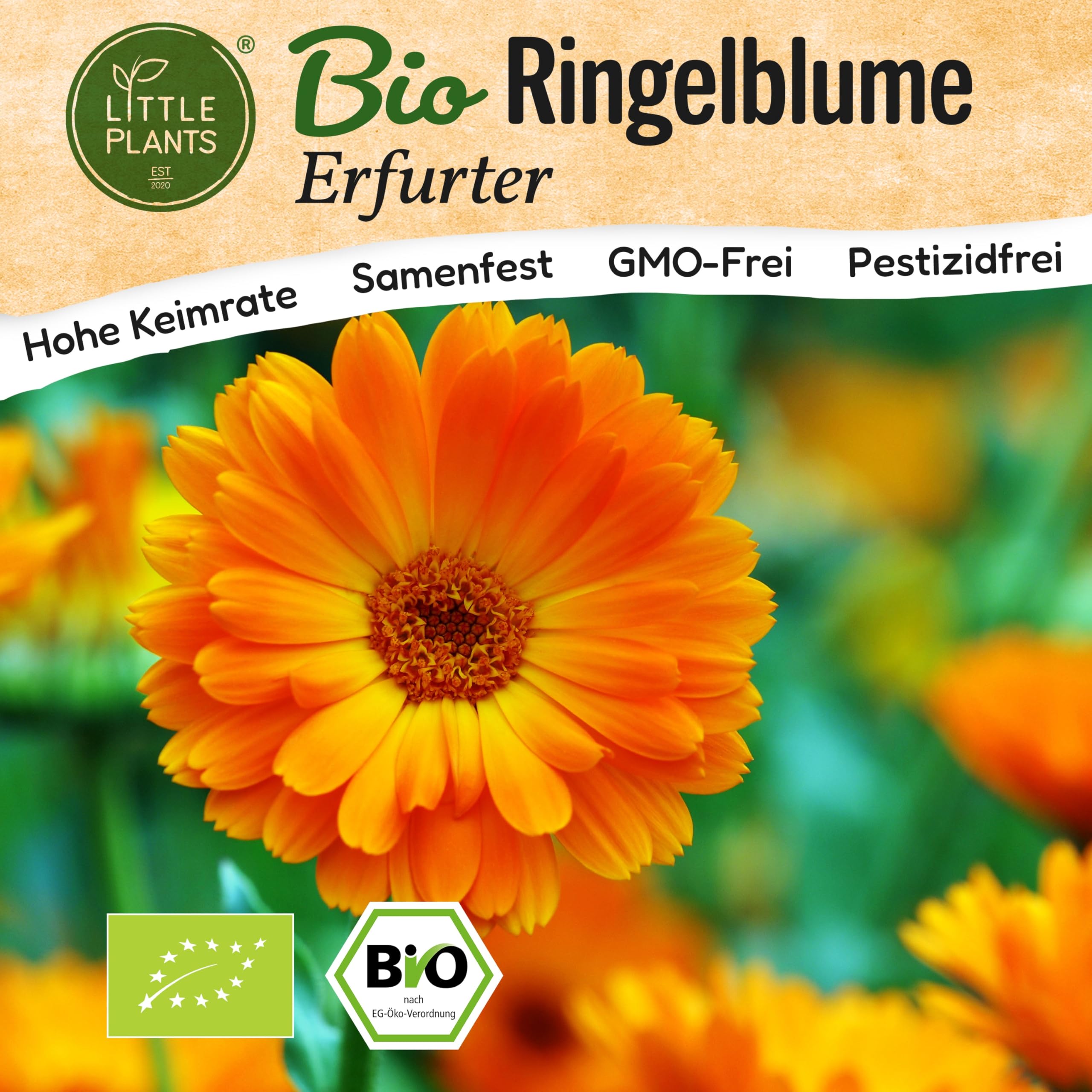 Little Plants BIO Ringelblume Samen 120 Ringelblumesamen Erfurter Calendula Blumensamen Samenfest für Blumengarten Blumen Samen für Balkon und Garten