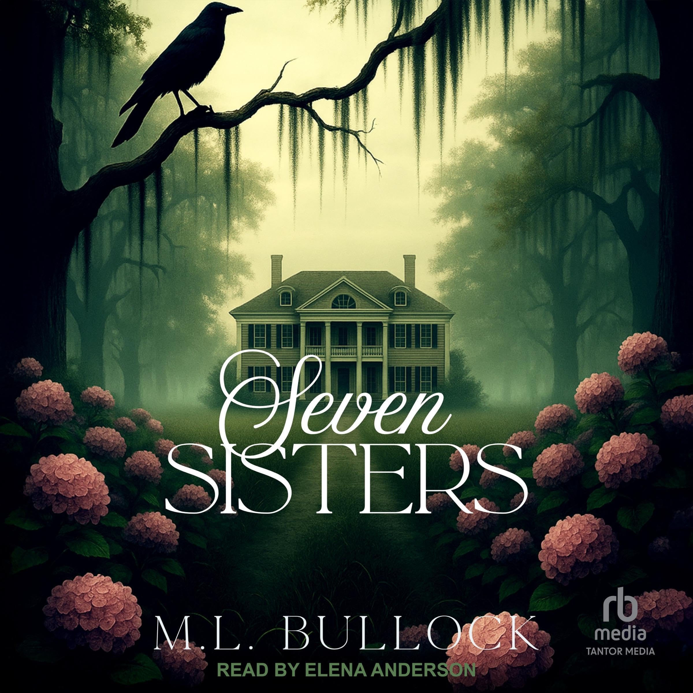 Cover art for Seven Sisters