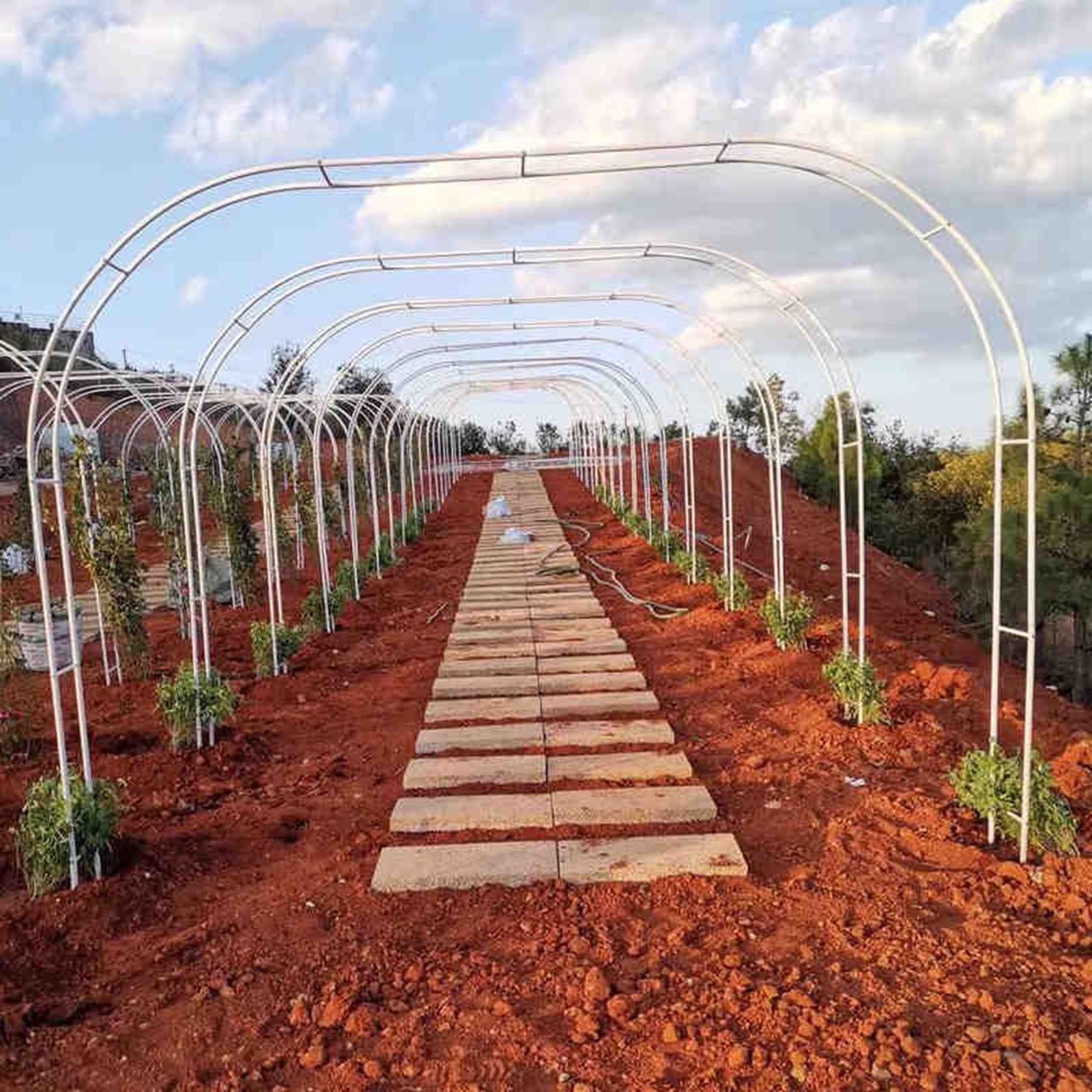 Metalowy łuk ogrodowy, kratka na rośliny pnące, odporna na rdzę, stojak na rośliny, dekoracyjny stojak na rośliny na wesela i imprezy, 300 x 250 cm, biała altana ogrodowa