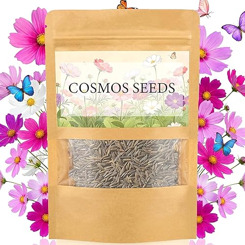 Cosmos Flower Seeds (4,500+ Seeds)