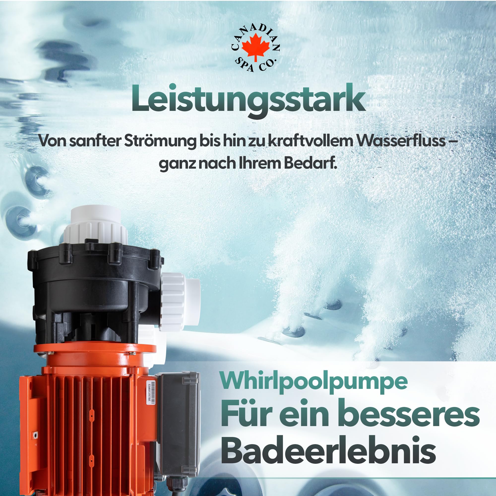 CANADIAN SPA CO. Massagepumpe 3PS WP300-II, 2-stufige Pool Pumpe, 2 auf 2 Zoll Anschluss, max. 730 Liter pro Minute, Hydromassage