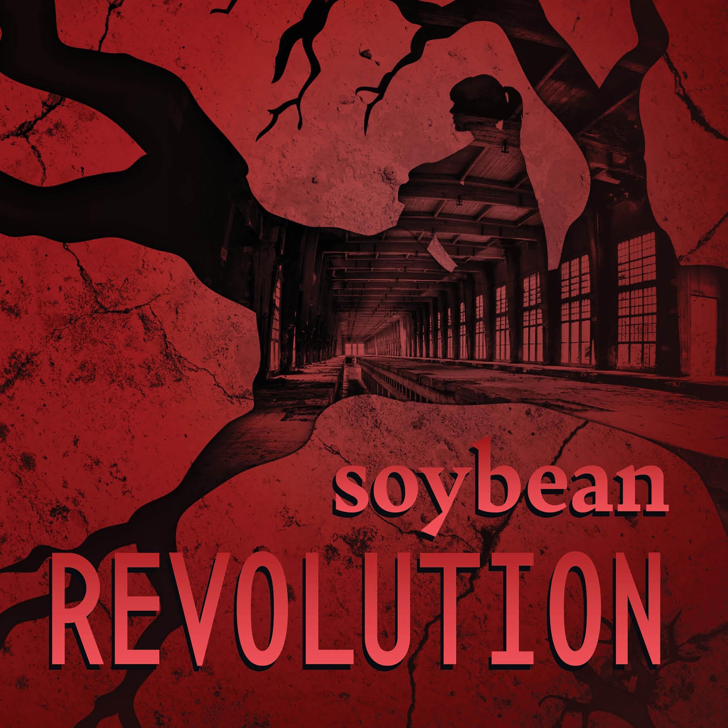 Cover art for Soybean Revolution
