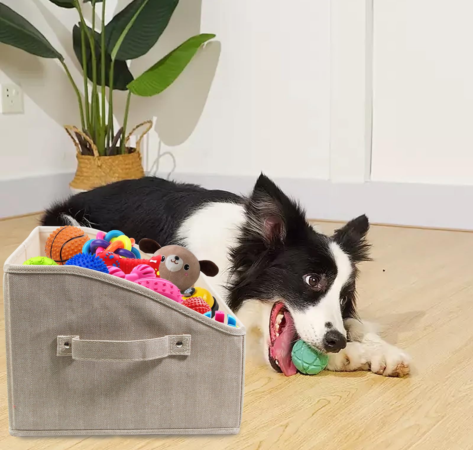 Geyecete Grandi Cestino Giochi Cane,Pieghevole Scatola giocattolo per cani, Tessuto Trapezio per cani,Organizzatore di giocattoli per Cani-Striscia kaki
