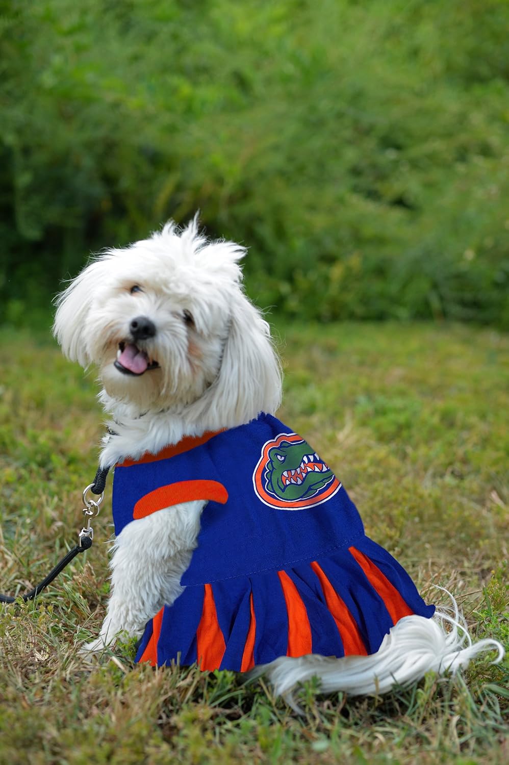 Pets First Collegiate Florida Gators Dog Cheerleader Dress, Small : Pet Supplies