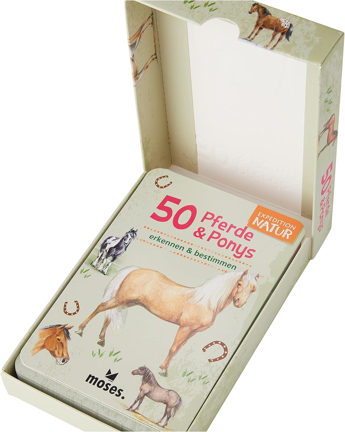 Expedition Natur 50 Pferde & Ponys: entdecken & bestimmen, White, Large - Image 4