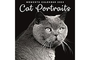 2024 Black Cats Calendar: Embark on a Feline Adventure