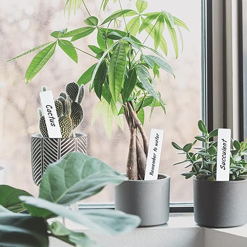 Miniatura 5 de KINGLAKE GARDEN 600 etiquetas de plástico de 4 pulgadas para plantas de jardín, etiquetas de jardinería vegetal, etiquetas de jardín de plástico