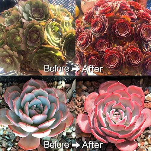 Miniatura 7 de Bombillas LED de cultivo de plantas para plantas de interior, luz solar, 44 LED de 17 W (equivalente a bombillas fluorescentes de 50 W), paquete de 2