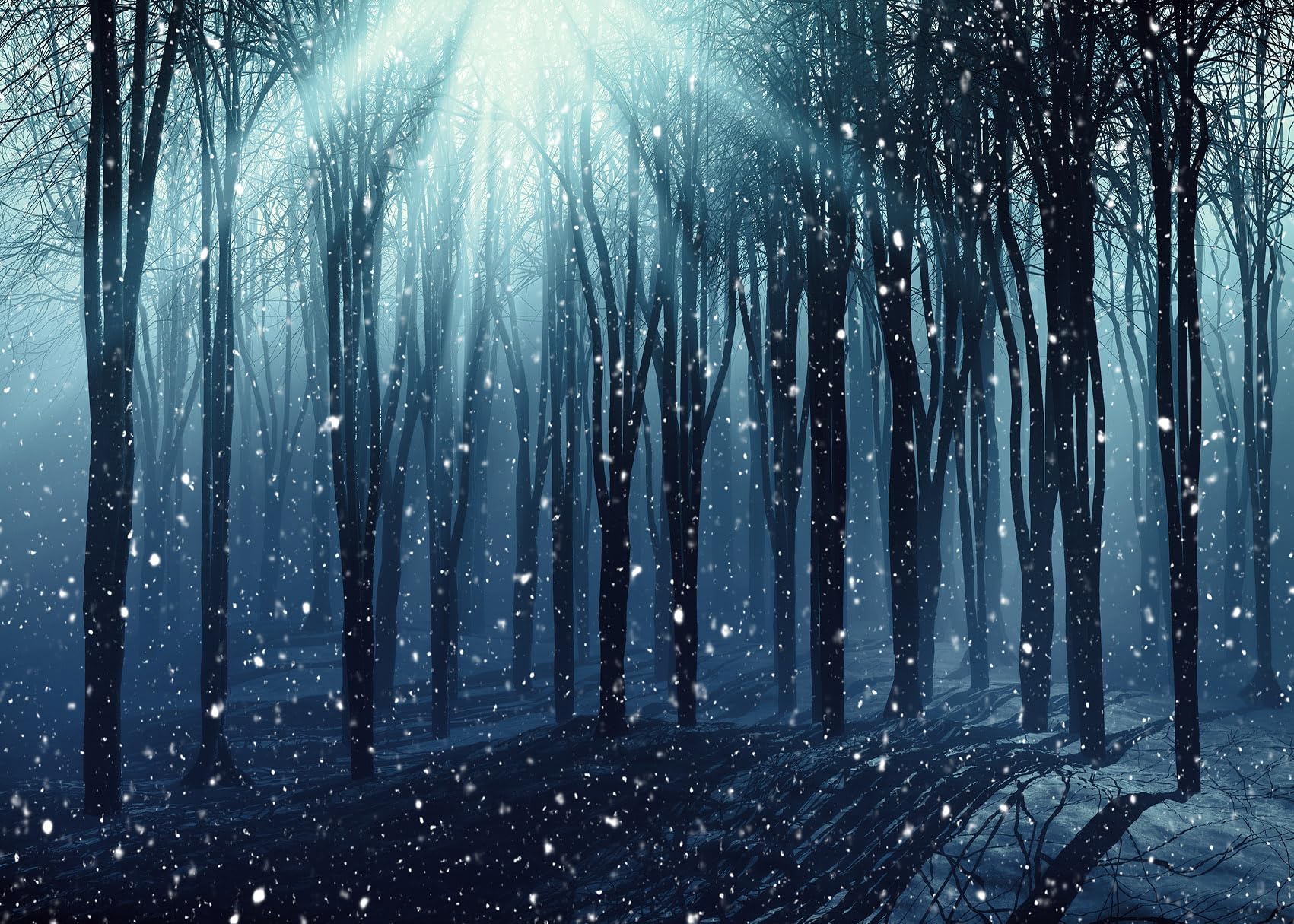 Dark Winter Forest Background