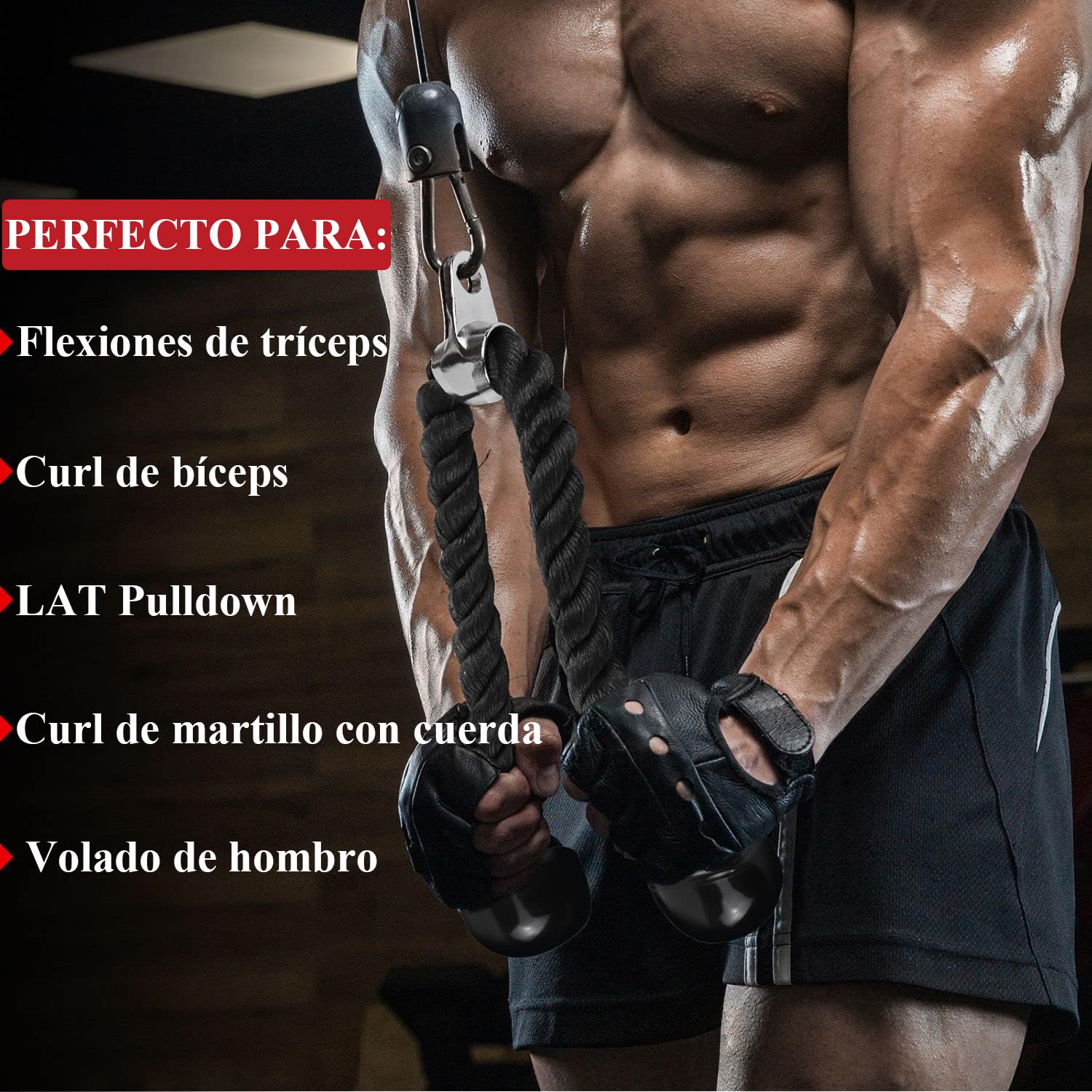 Accesorios de Polea de Cable para Ejercicio en Casa,Combo de Accesorios para Poleas de Gym, Agarres y Equipos de Gimnasio,Mango en D, Cuerda de tríceps y 3 Alpinistične zaponke